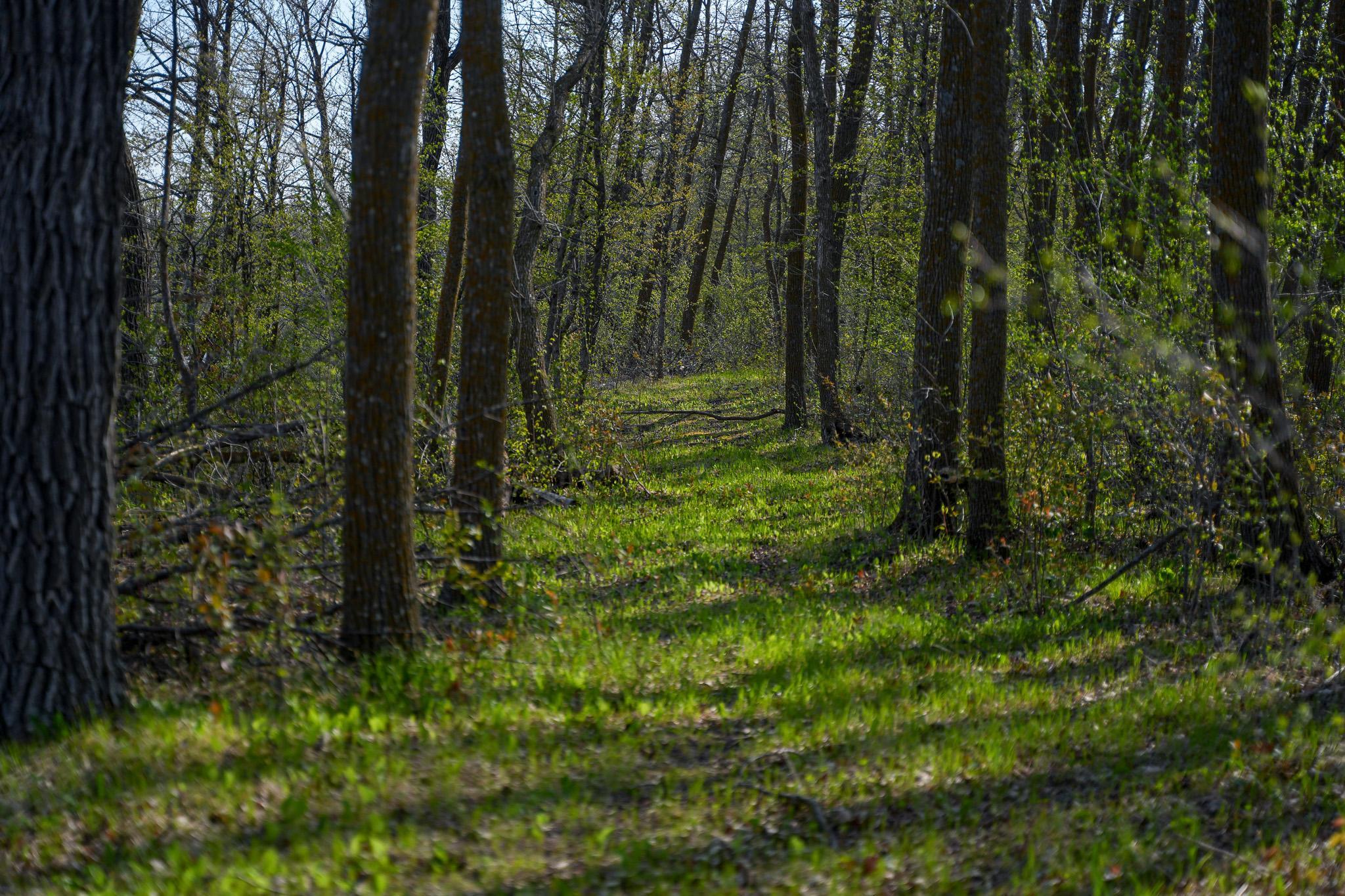 main property photo 55