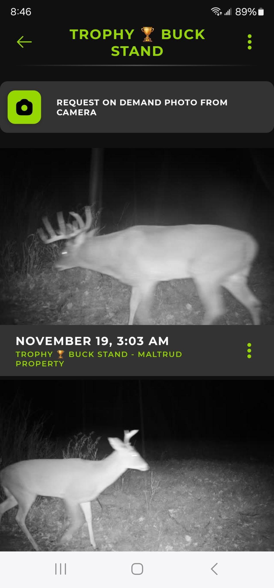 main property photo 61