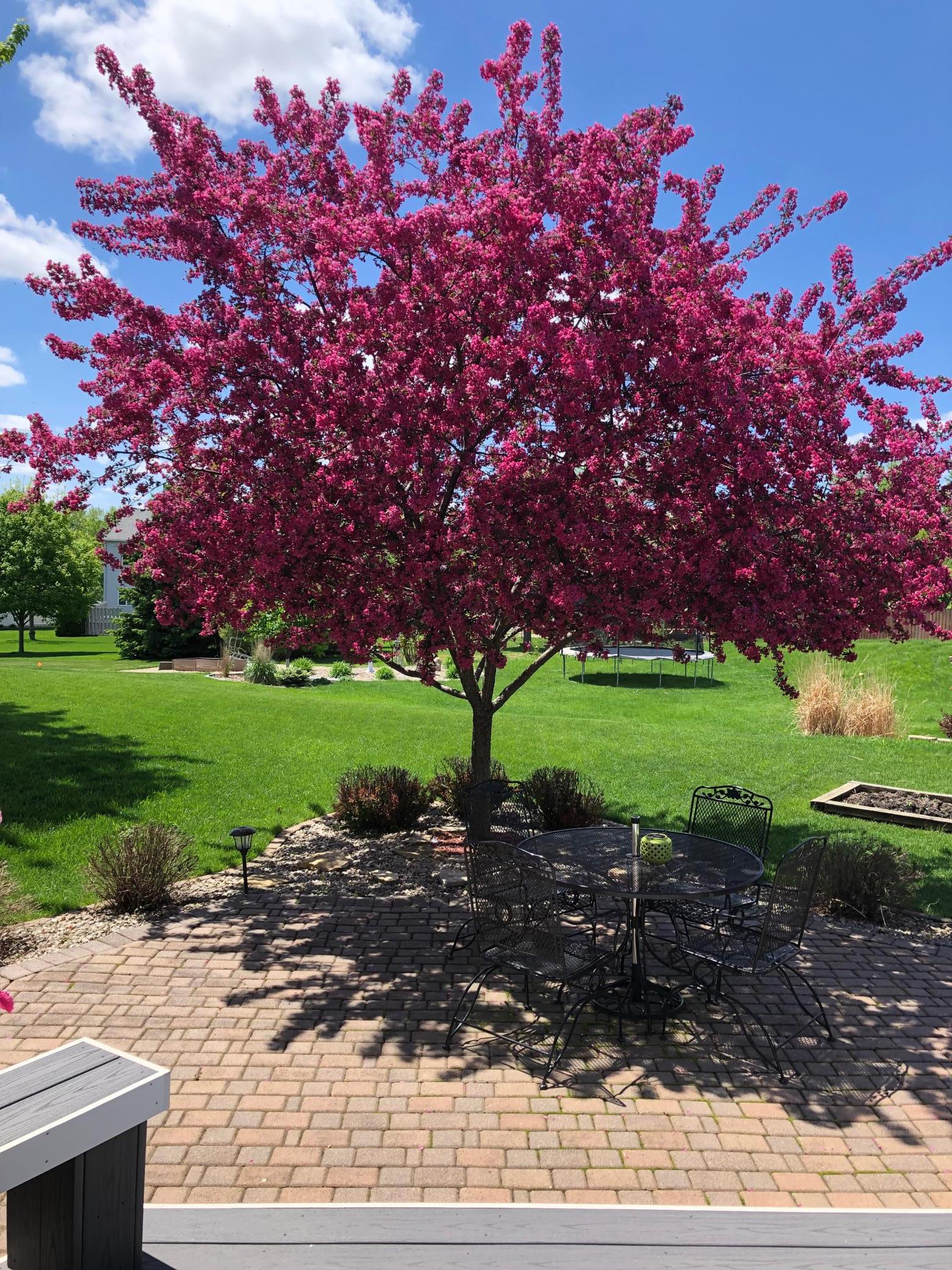 main property photo 51