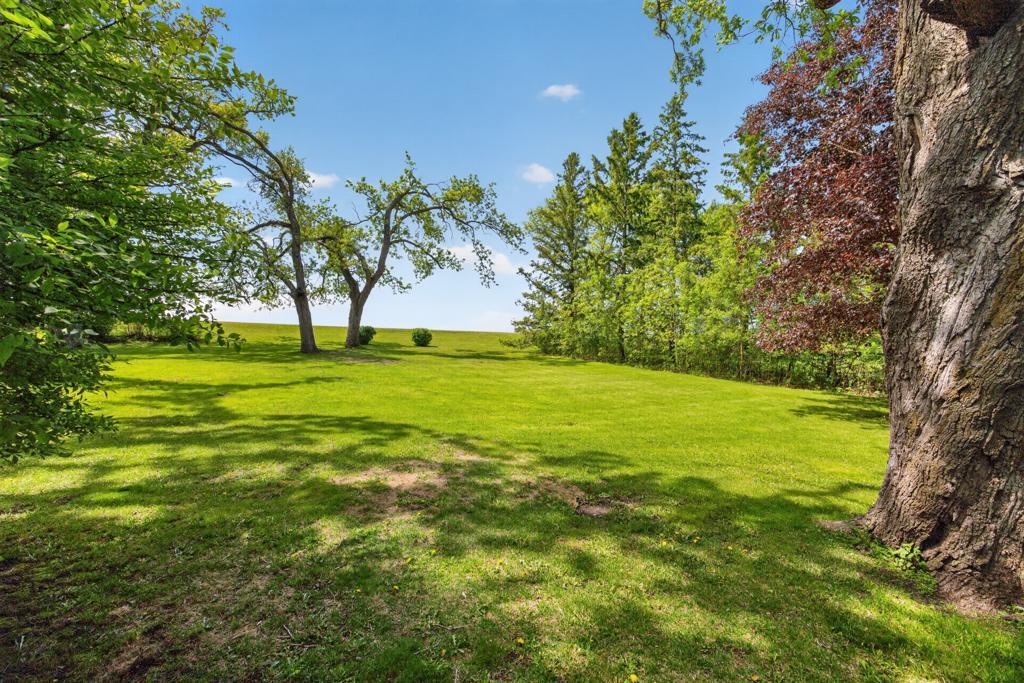 main property photo 58