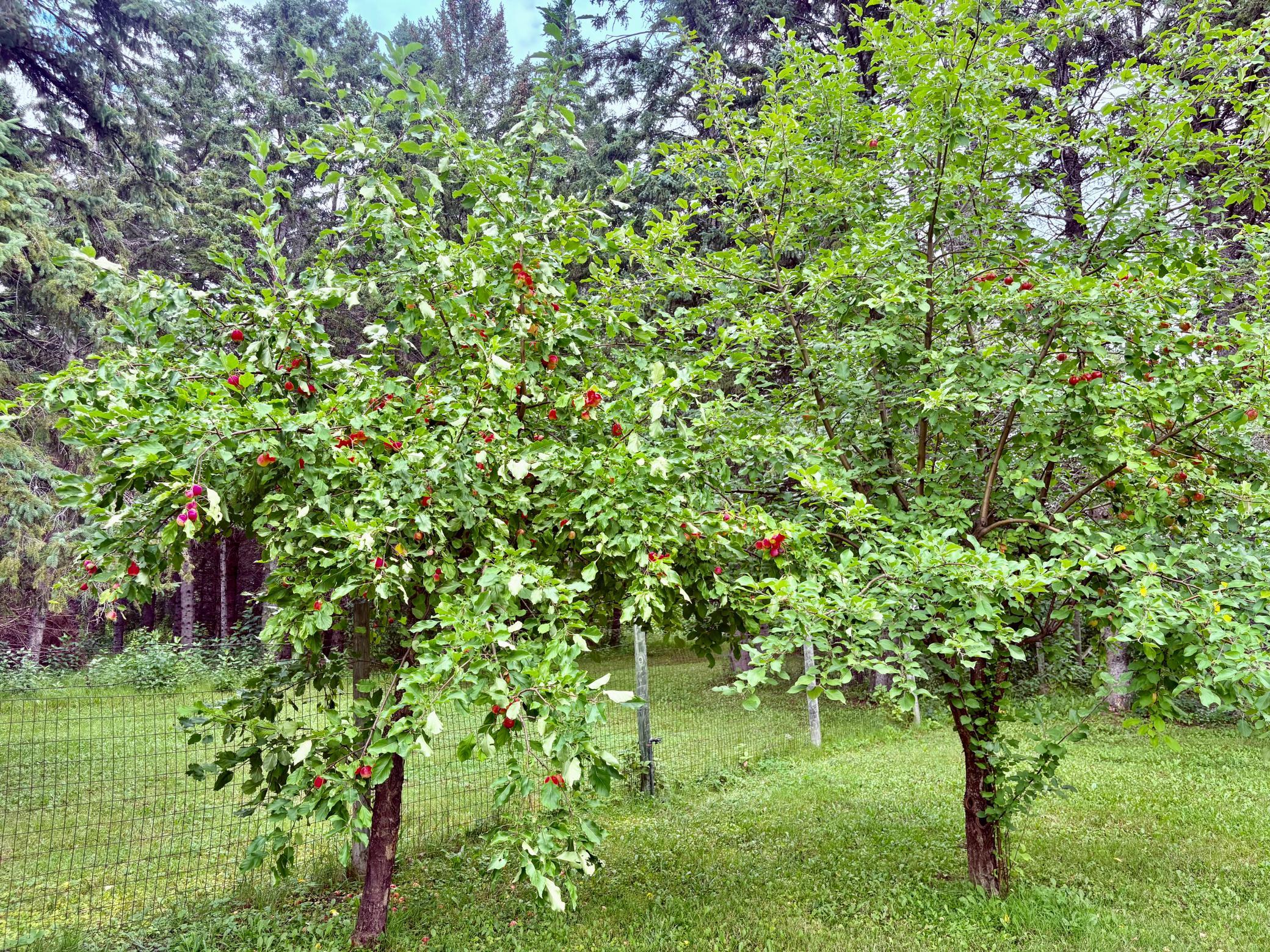 main property photo 75