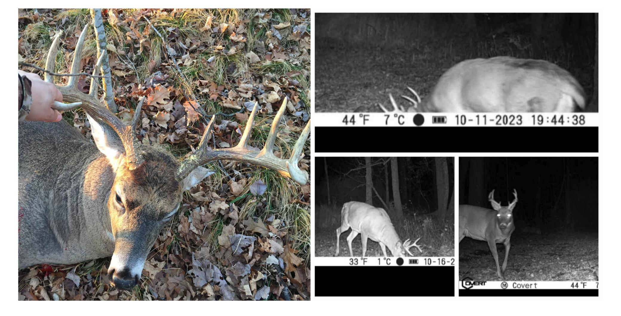 main property photo 45