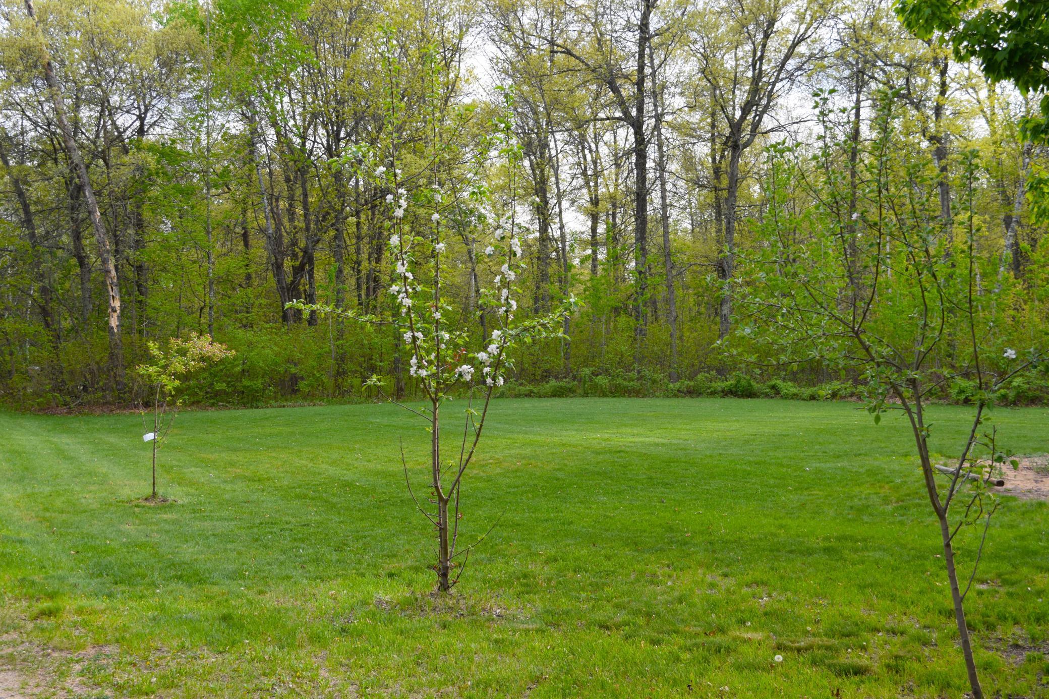 main property photo 70