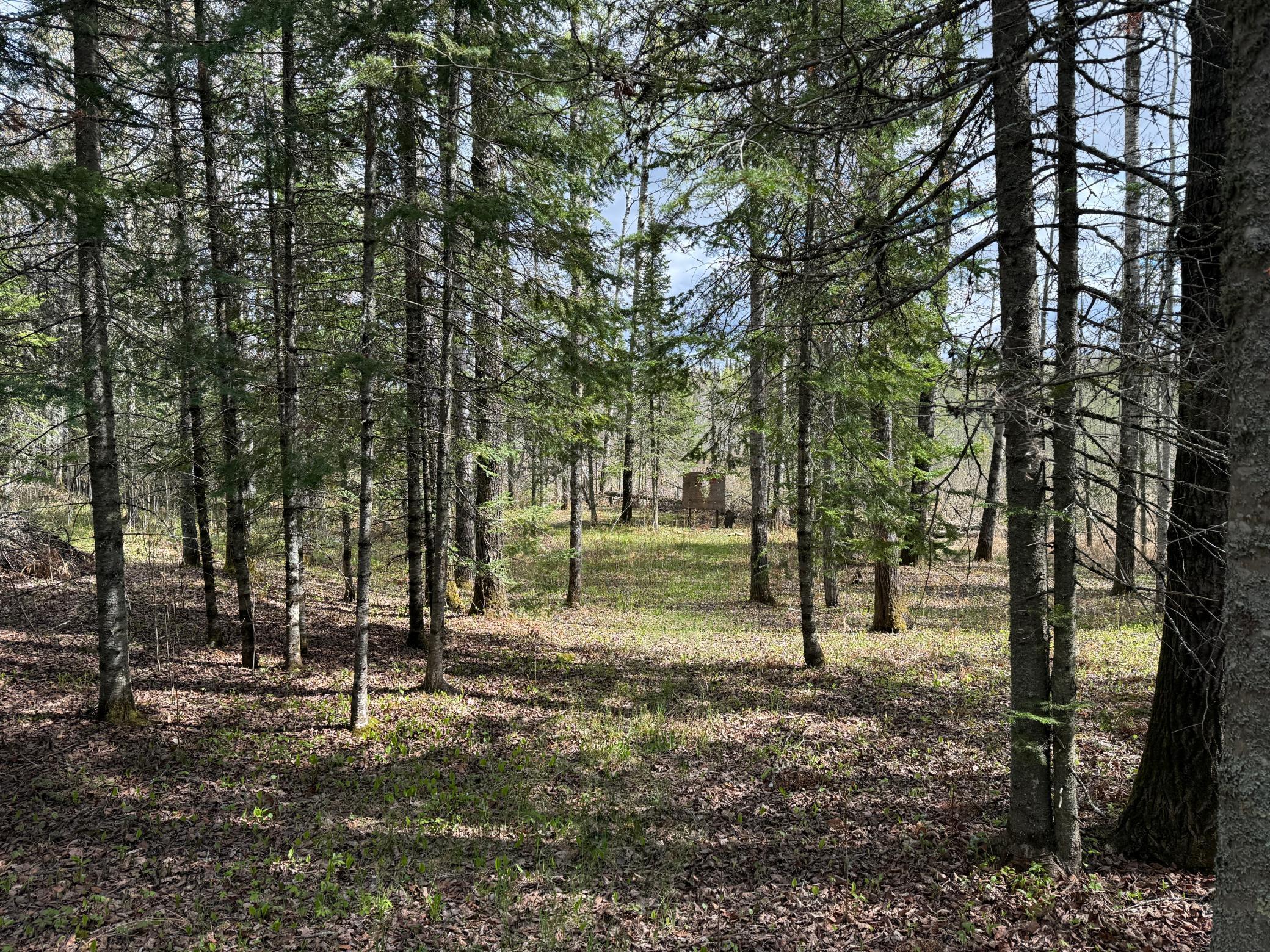 main property photo 33
