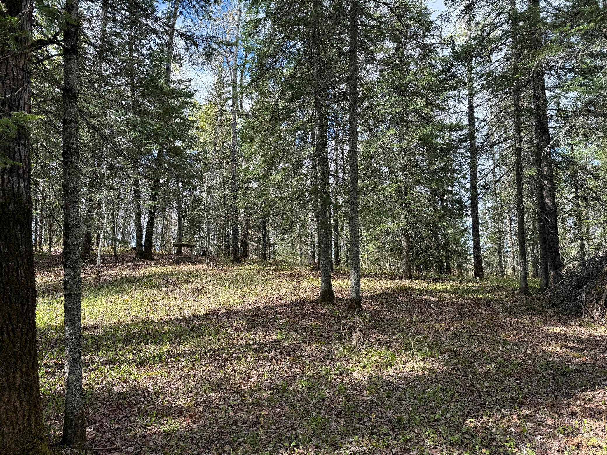 main property photo 35