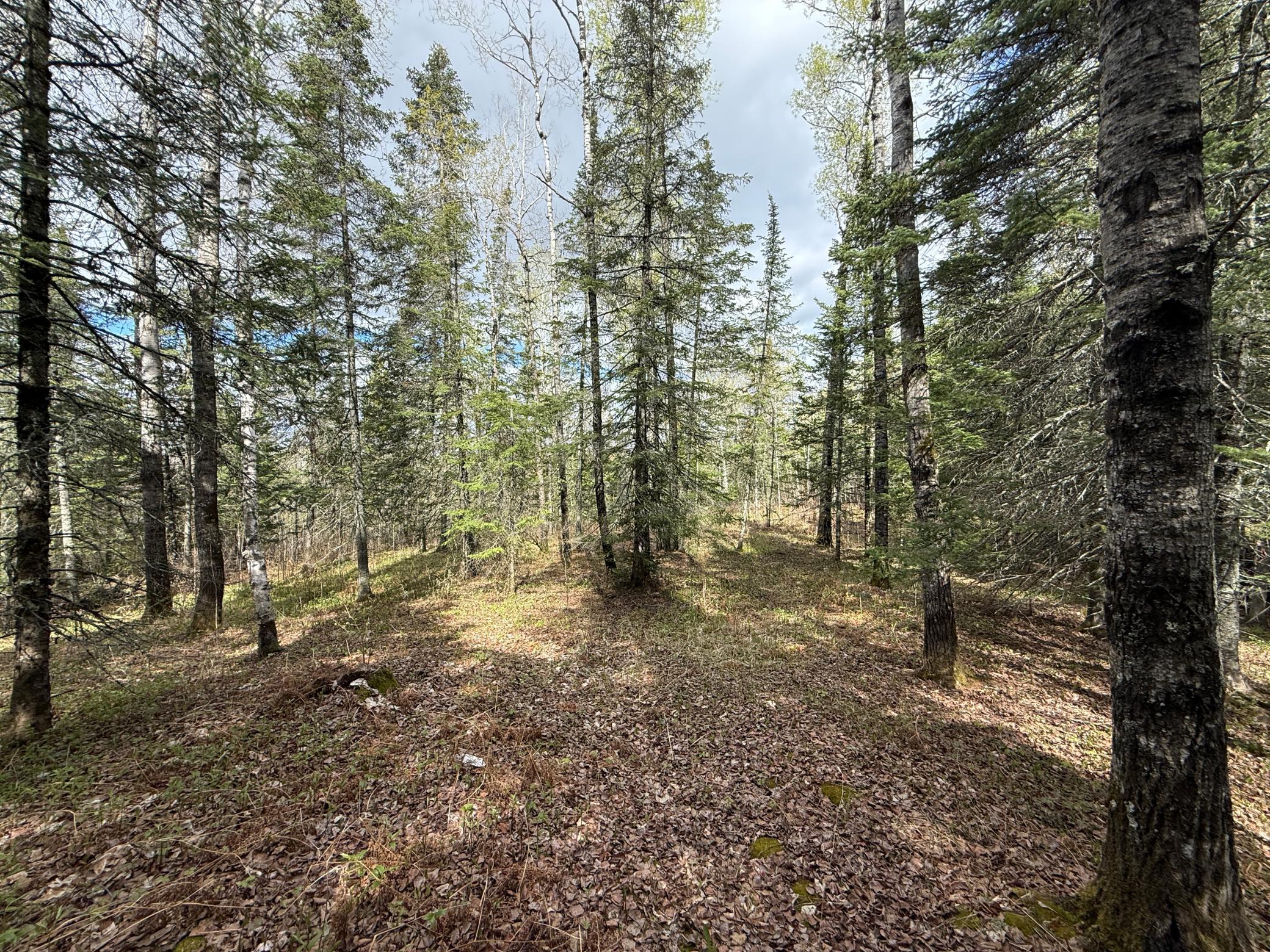 main property photo 37