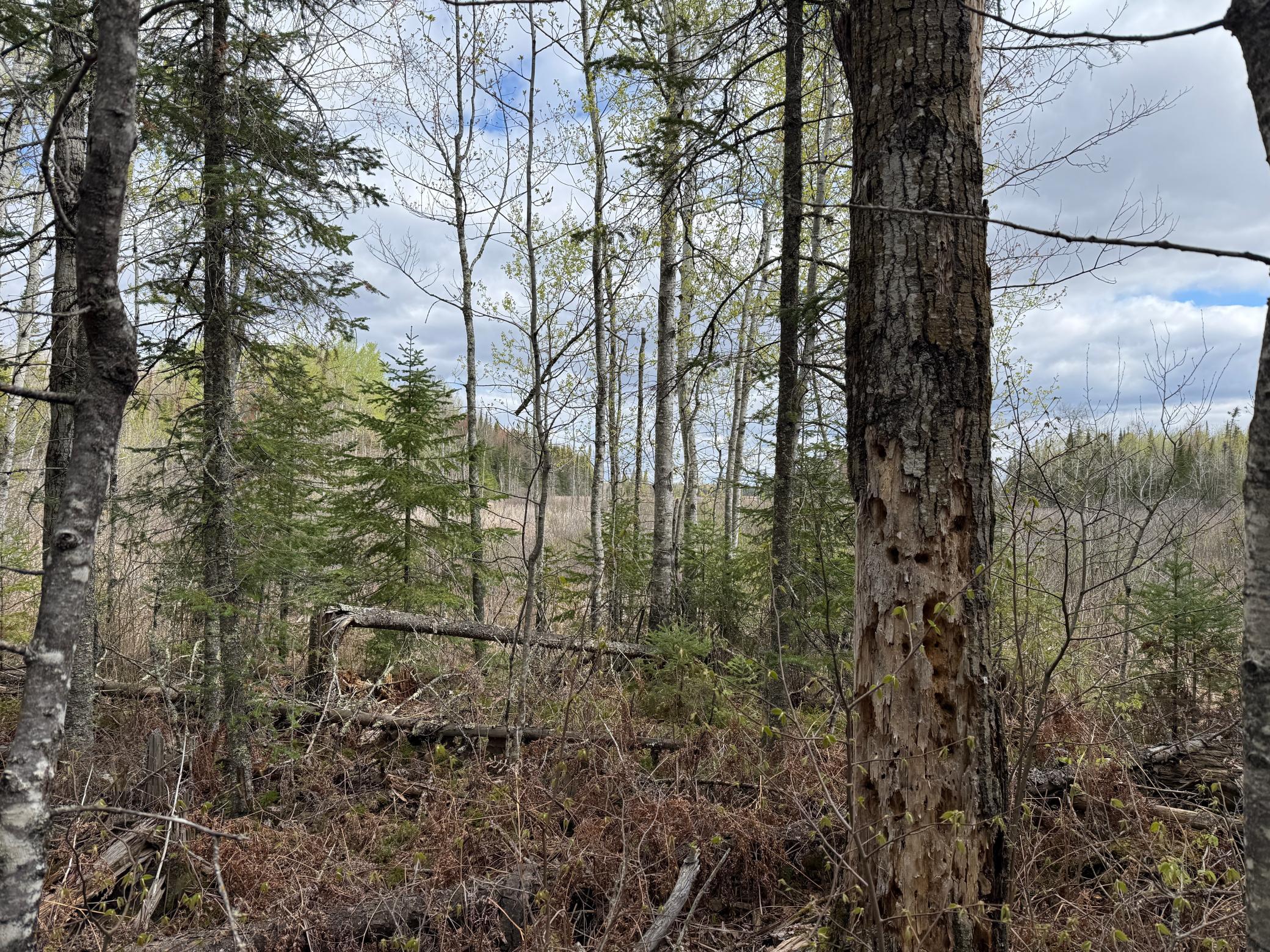 main property photo 40
