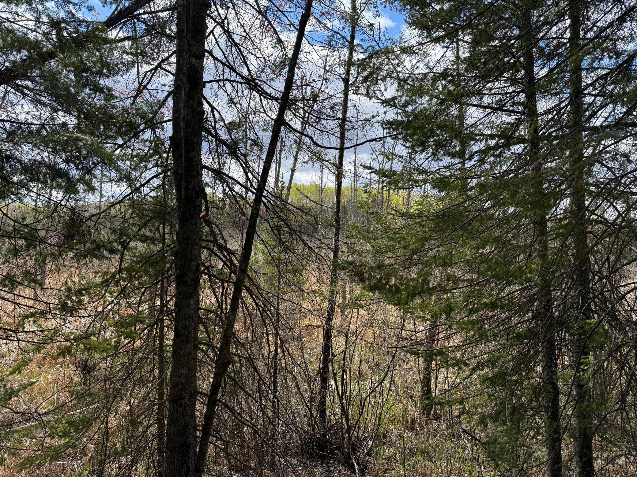 main property photo 45