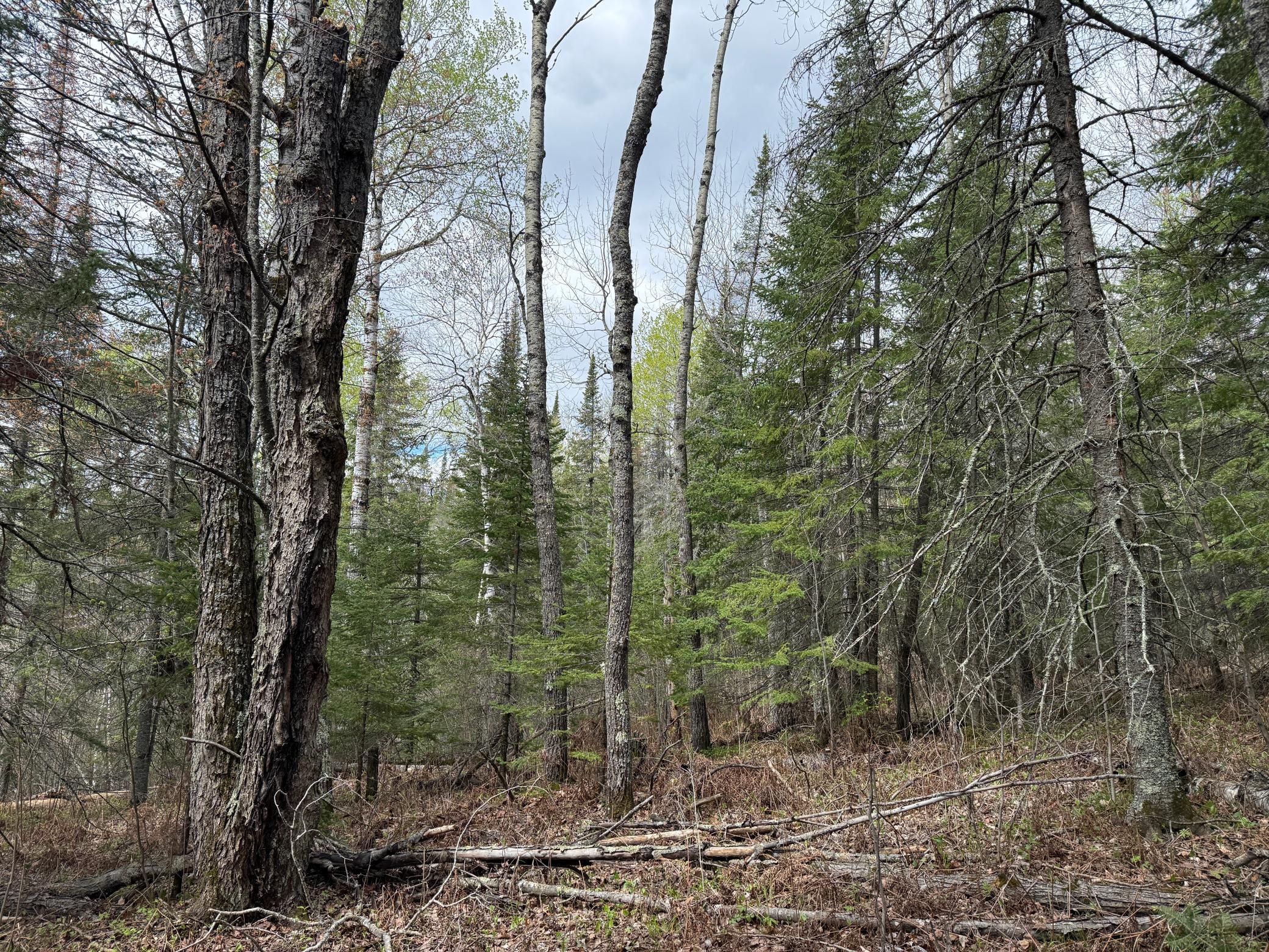 main property photo 46