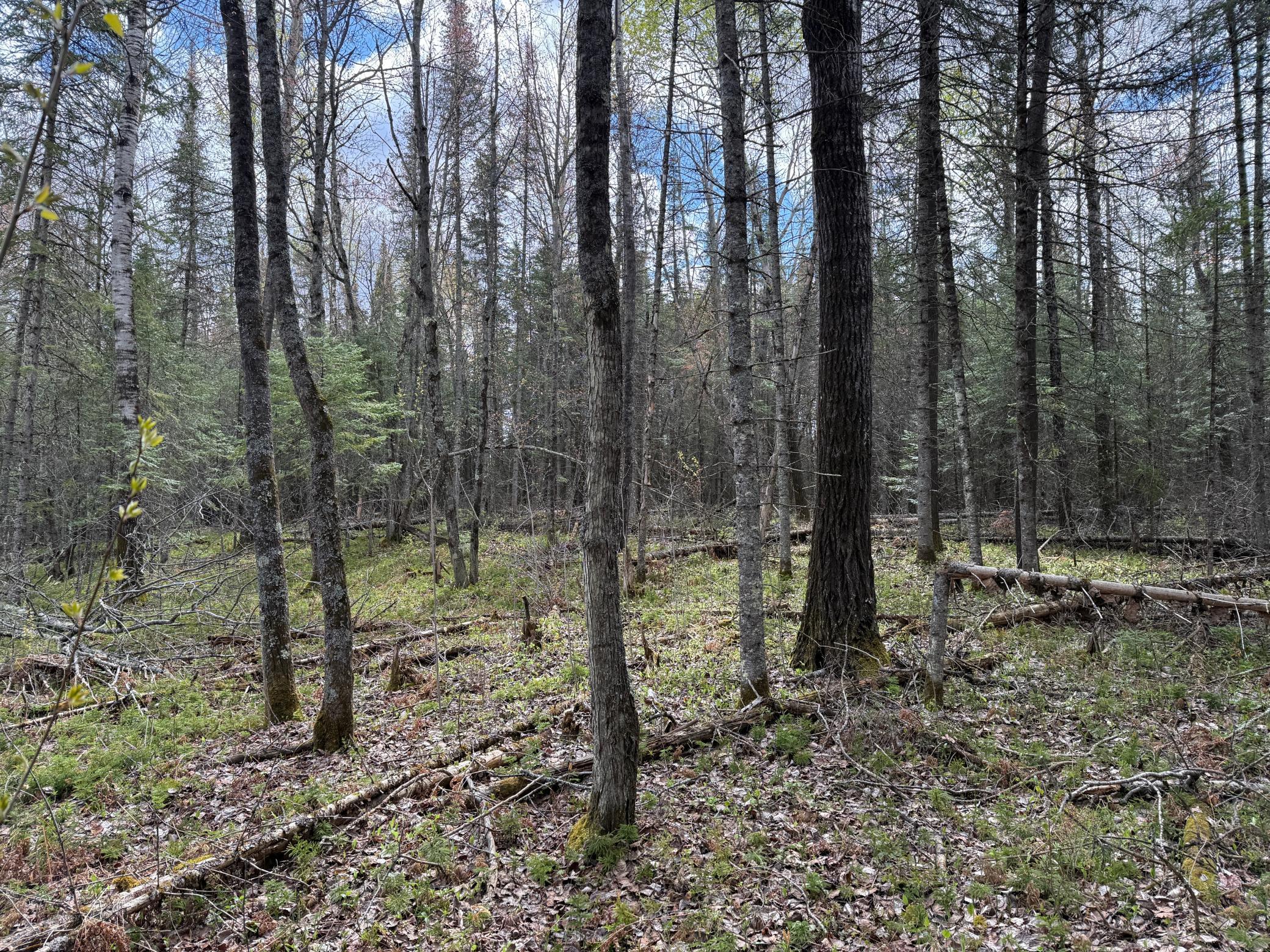 main property photo 56