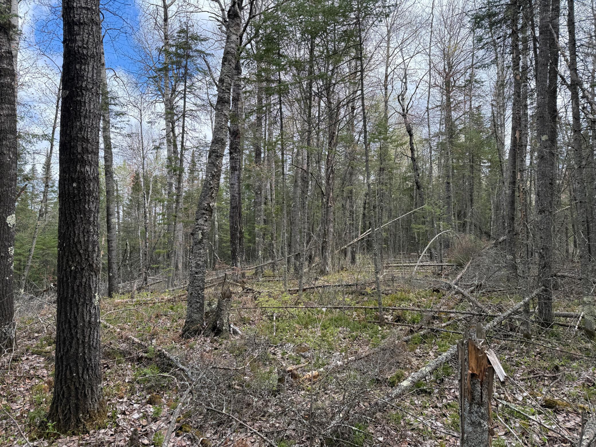 main property photo 57