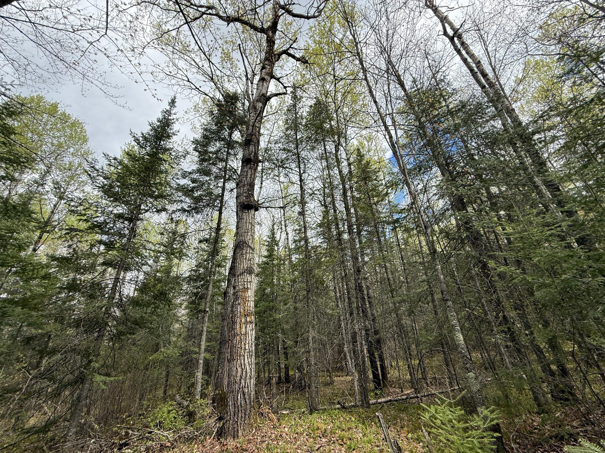 main property photo 61