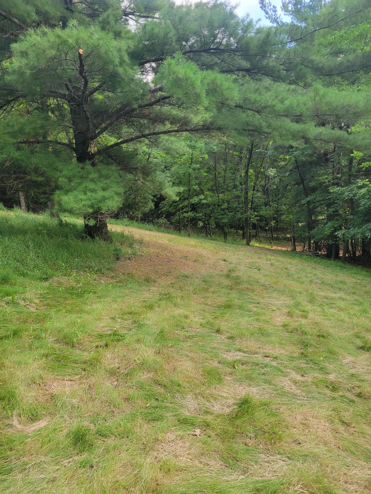 main property photo 43