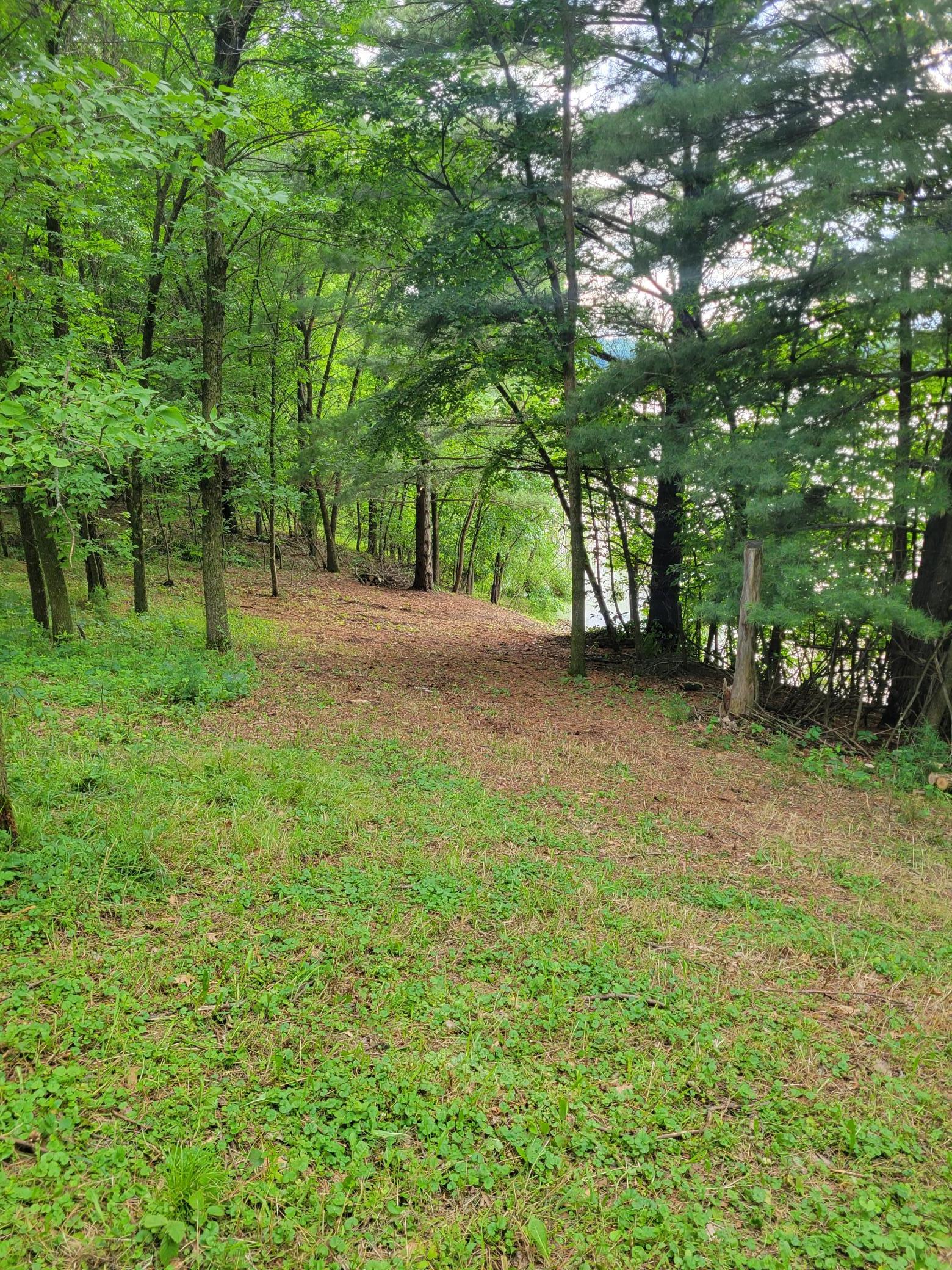 main property photo 44