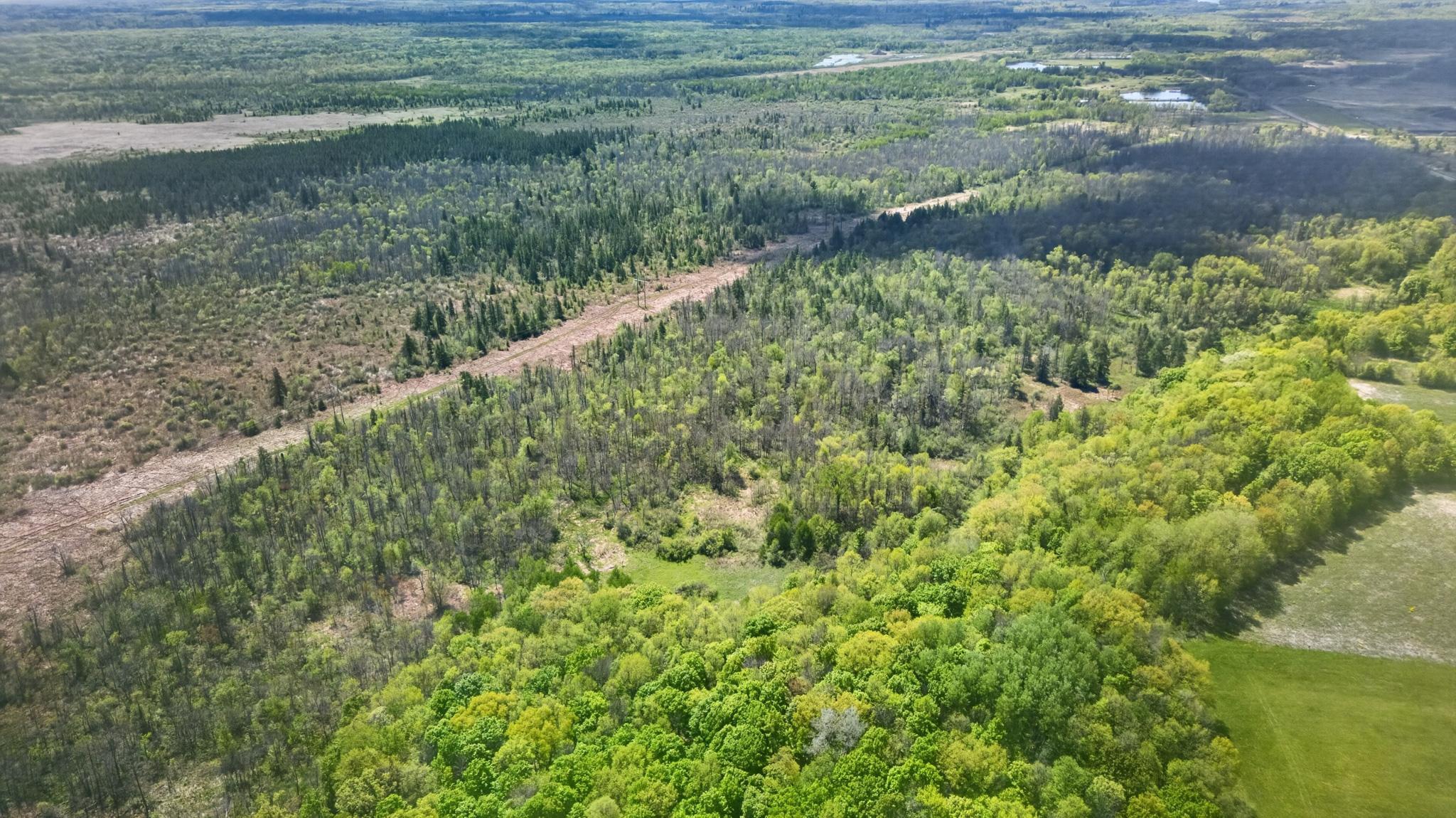 main property photo 51