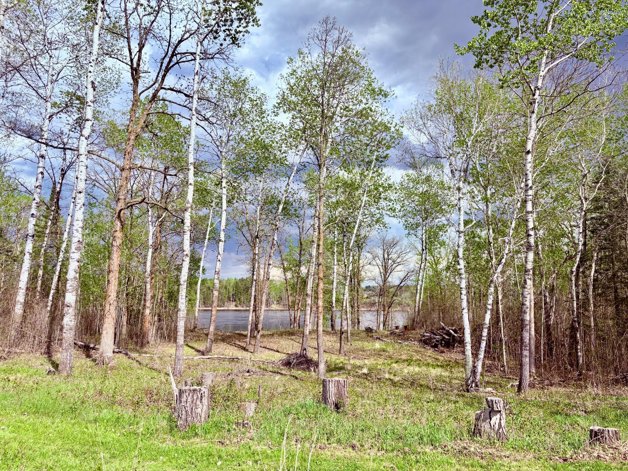 main property photo 78