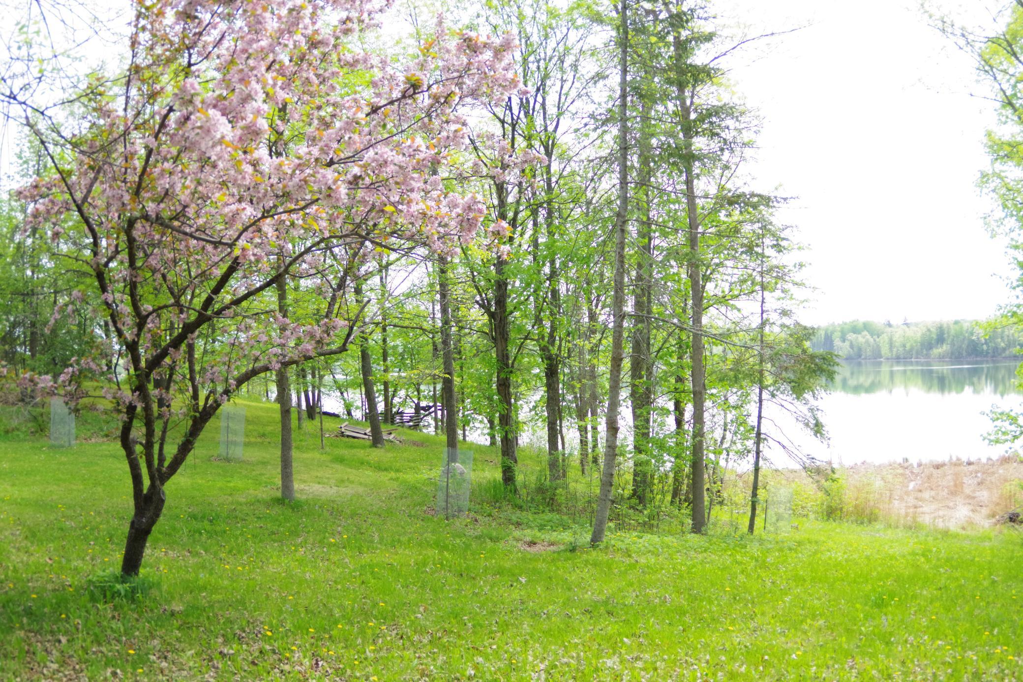 main property photo 16