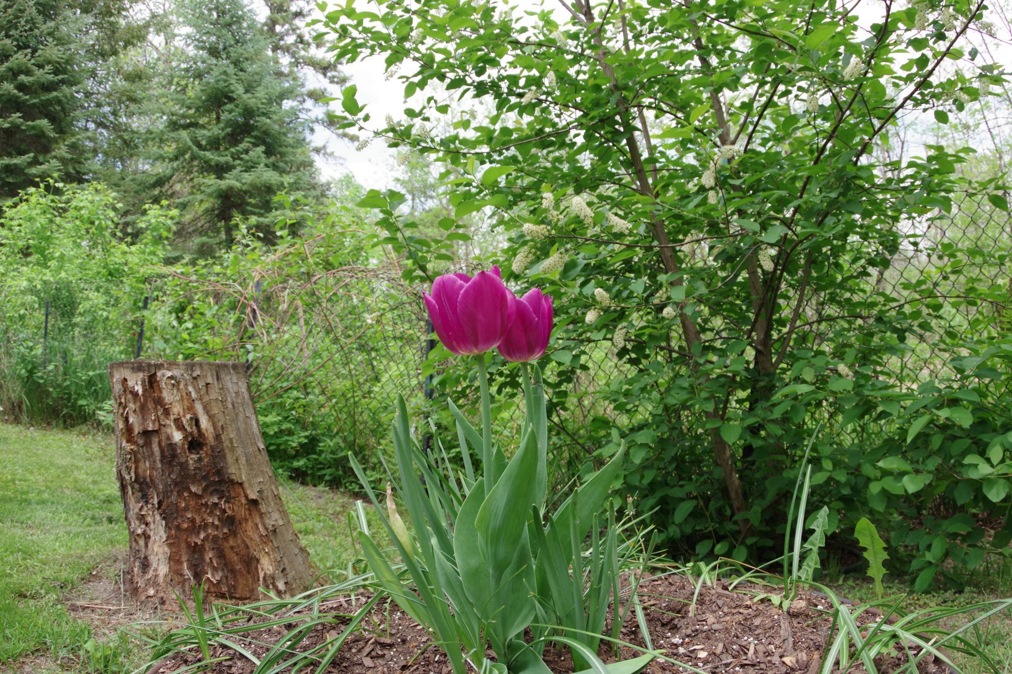 main property photo 24