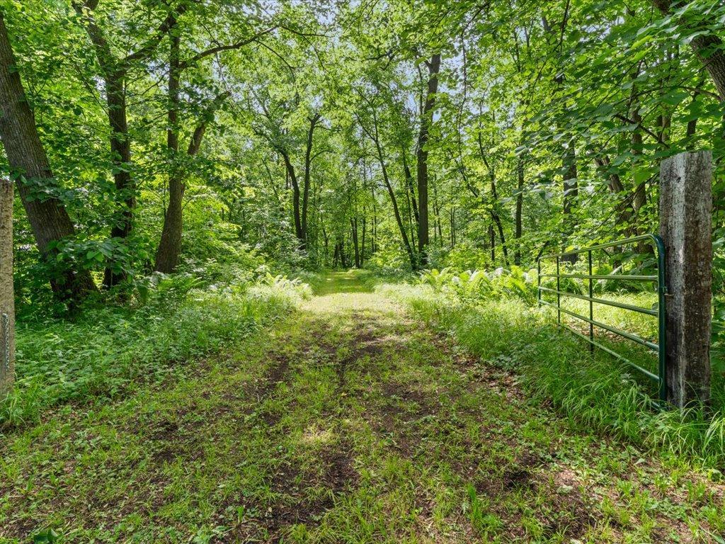 main property photo 53