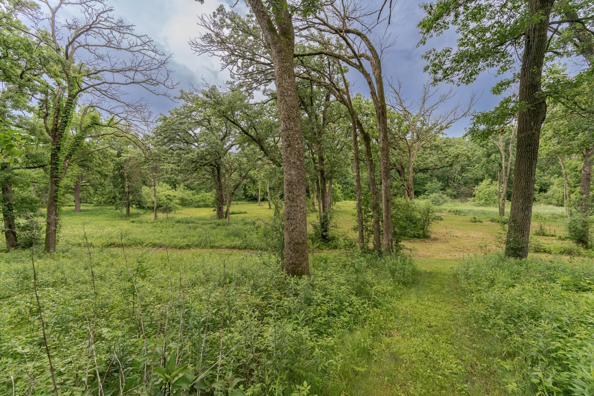 main property photo 56