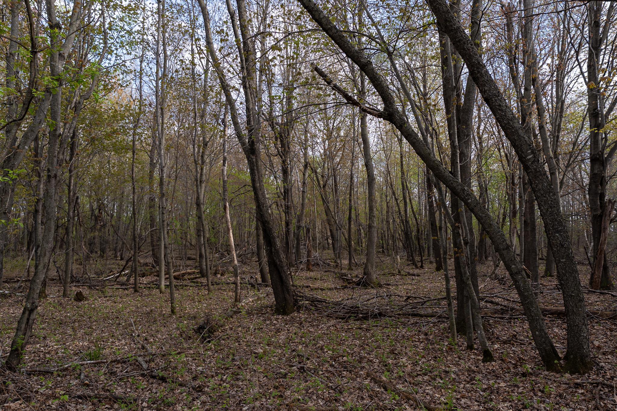 main property photo 47