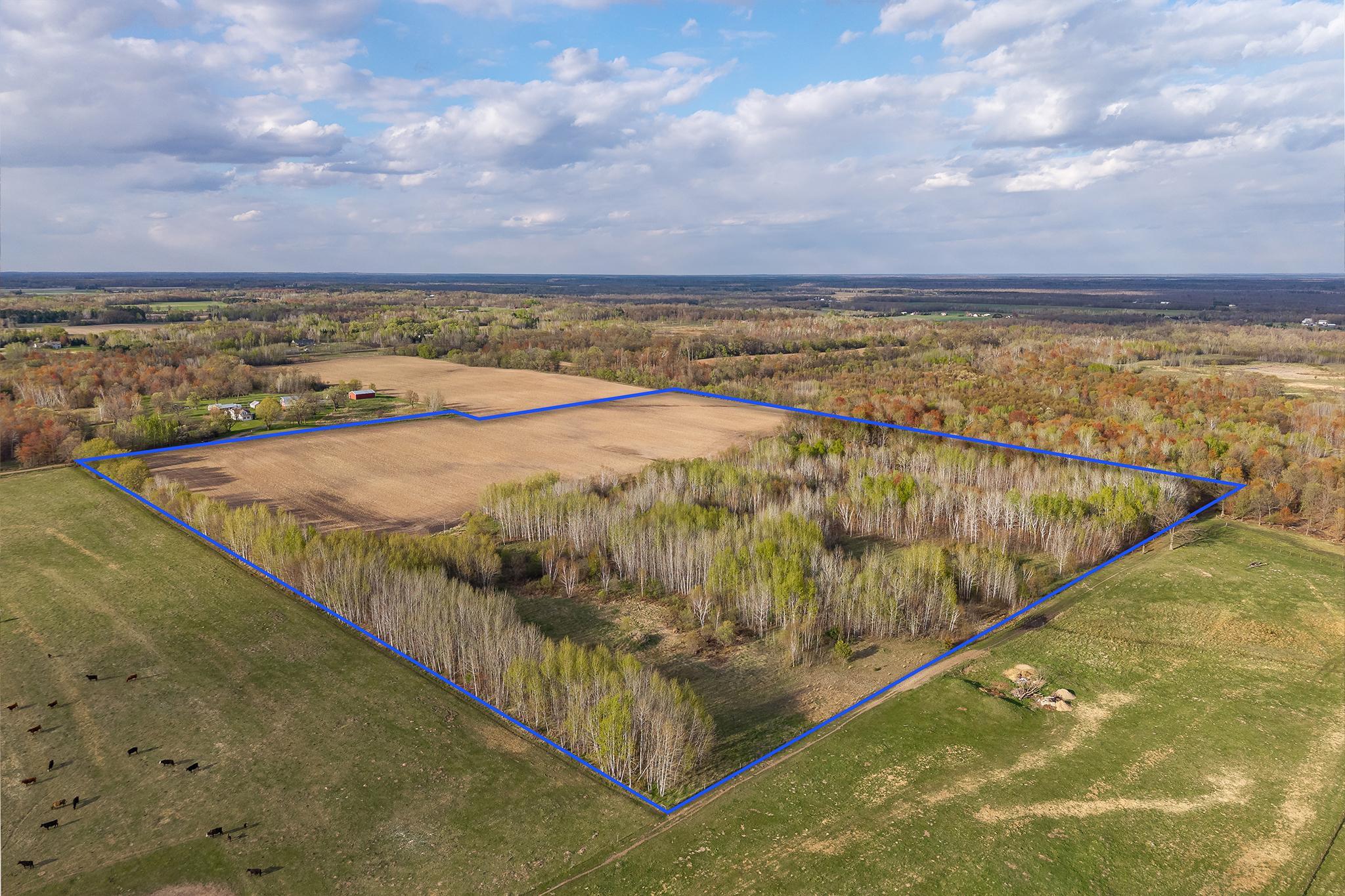 main property photo 53