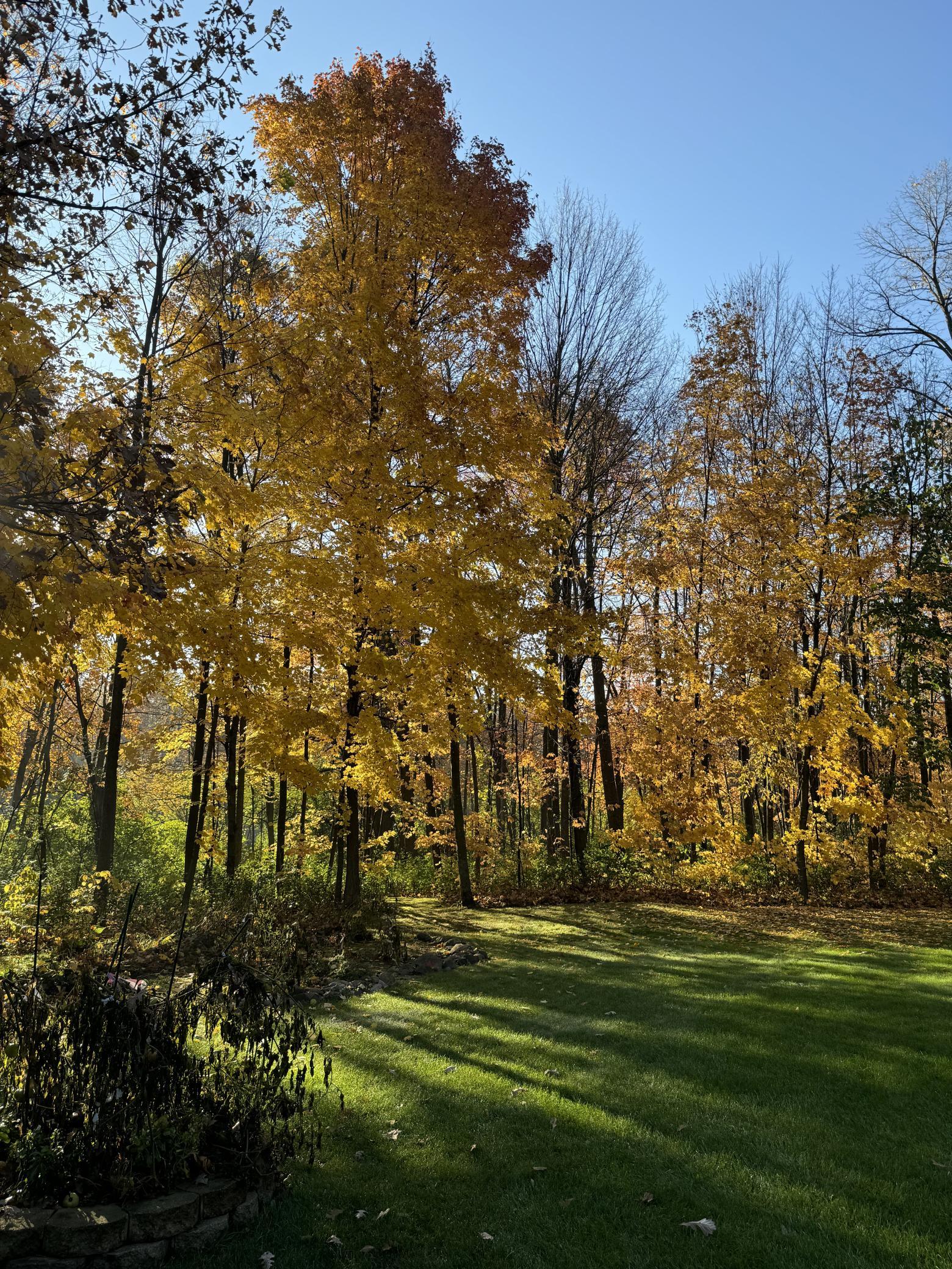 main property photo 45