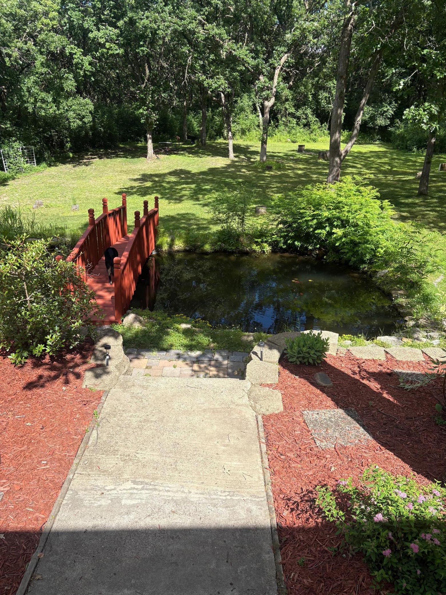 main property photo 54