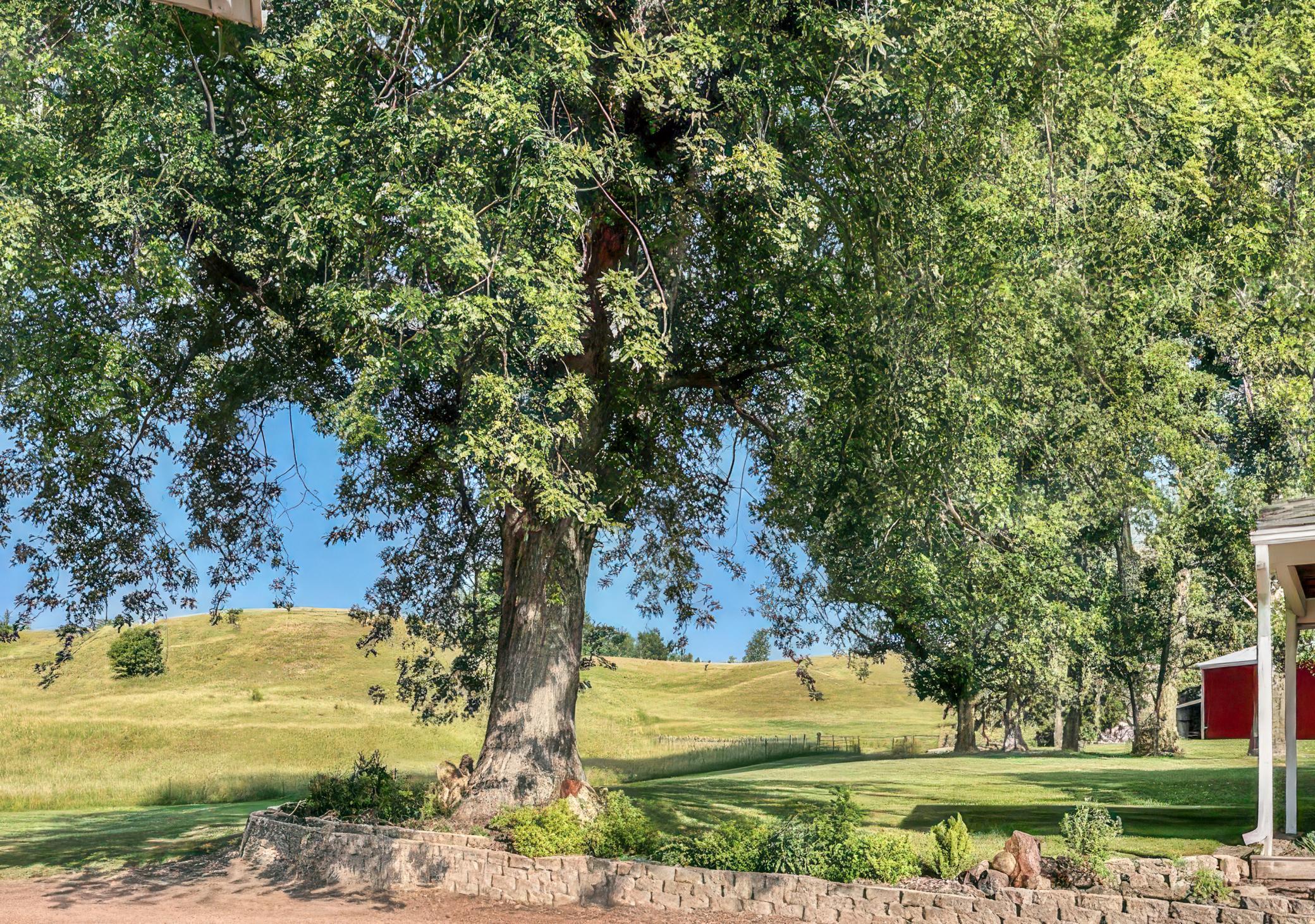 main property photo 52