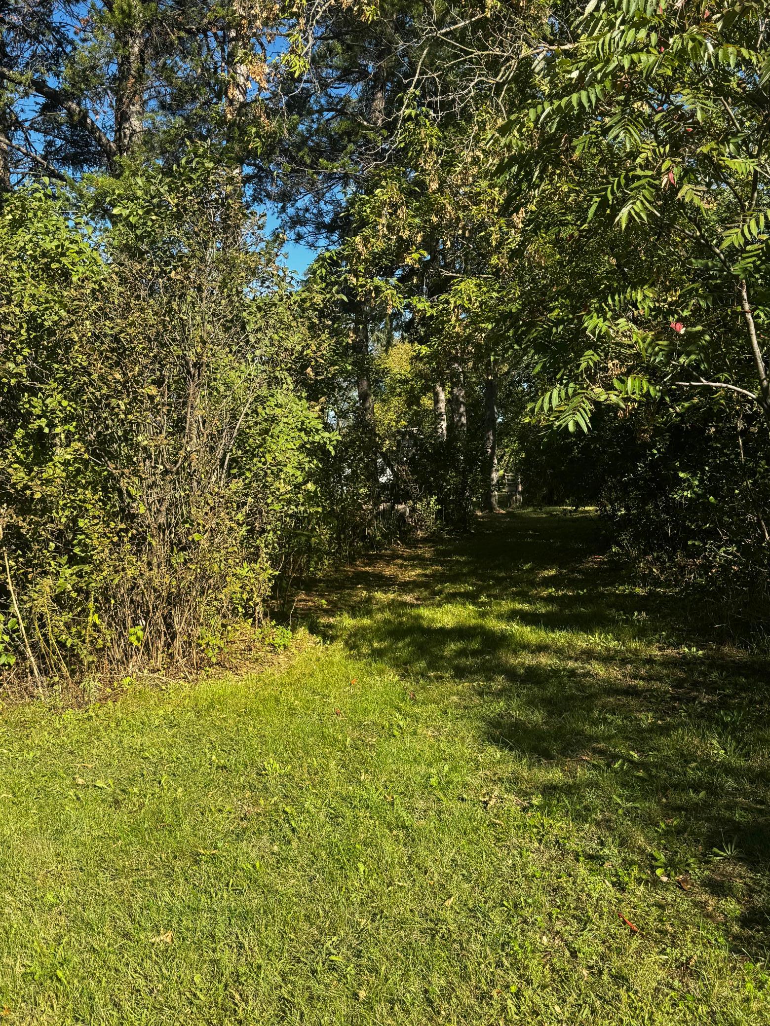 main property photo 48