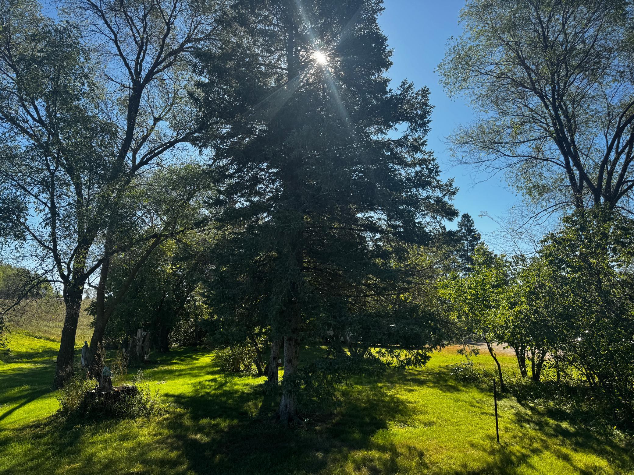 main property photo 50