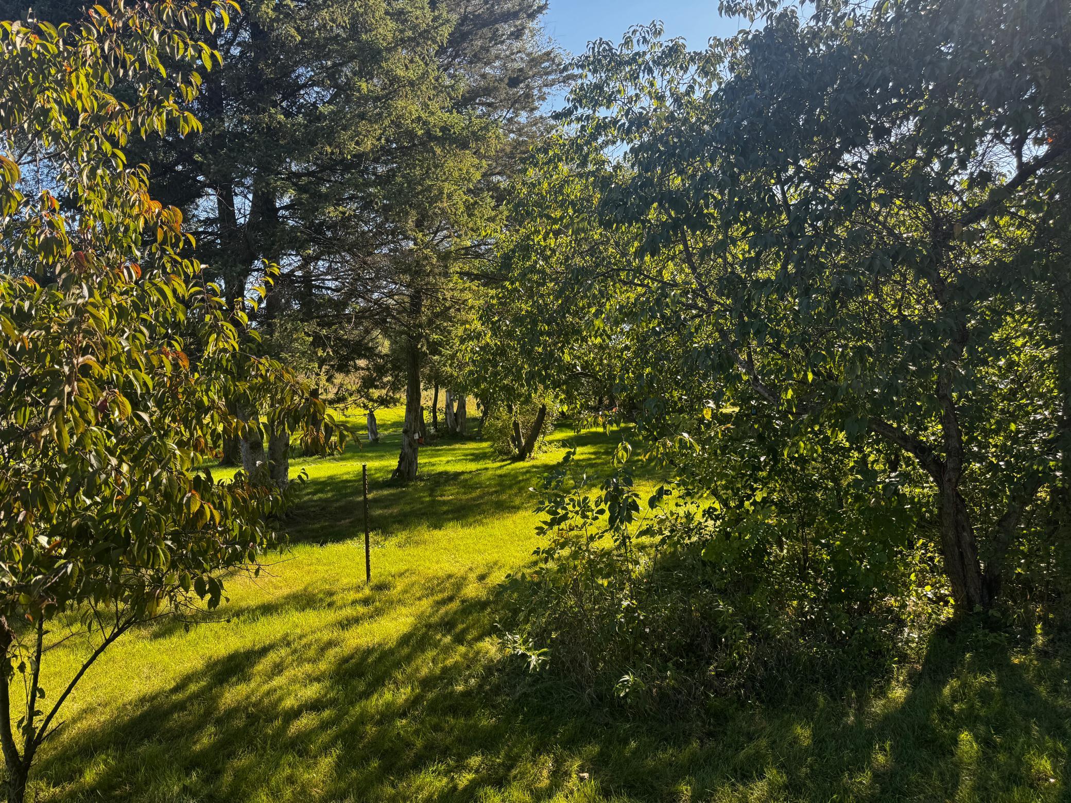 main property photo 51