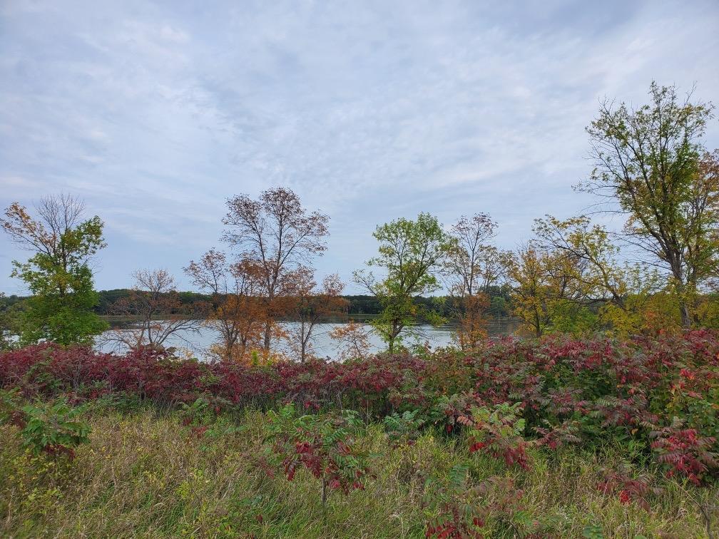 main property photo 98