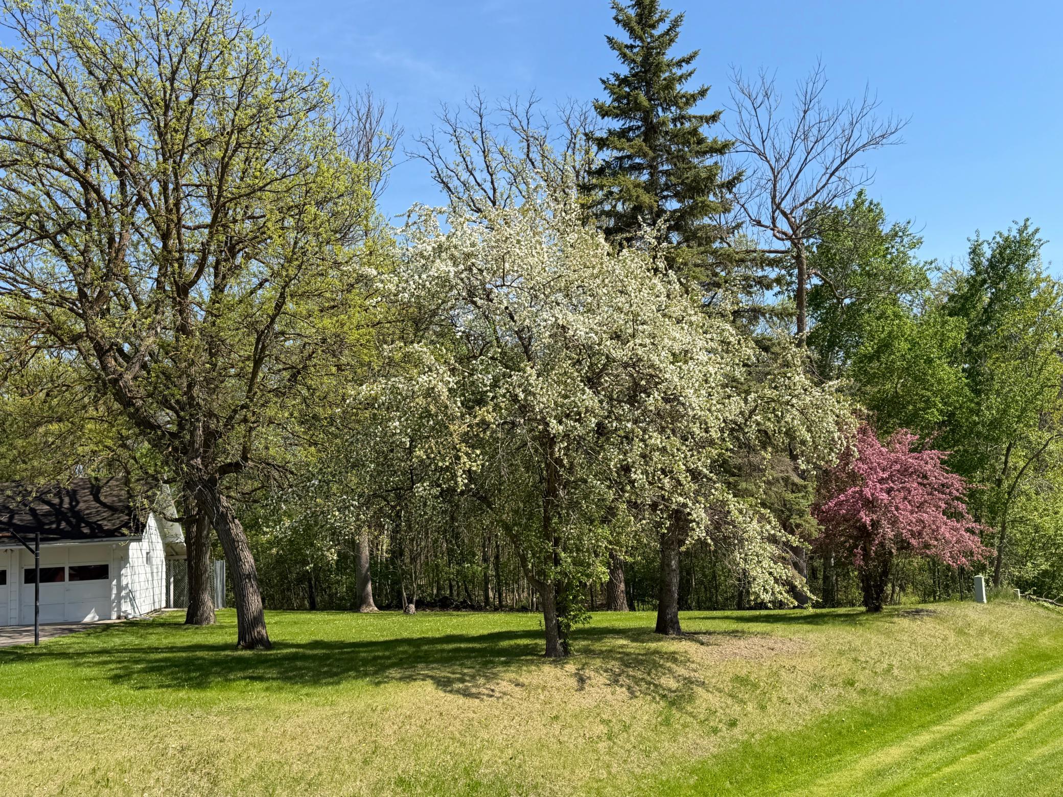 main property photo 43