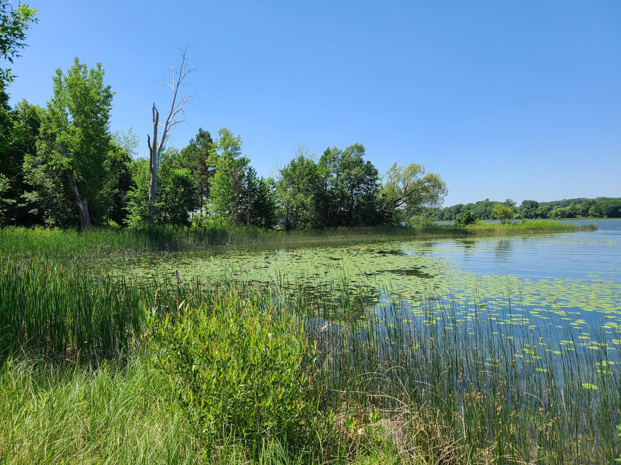 main property photo 14
