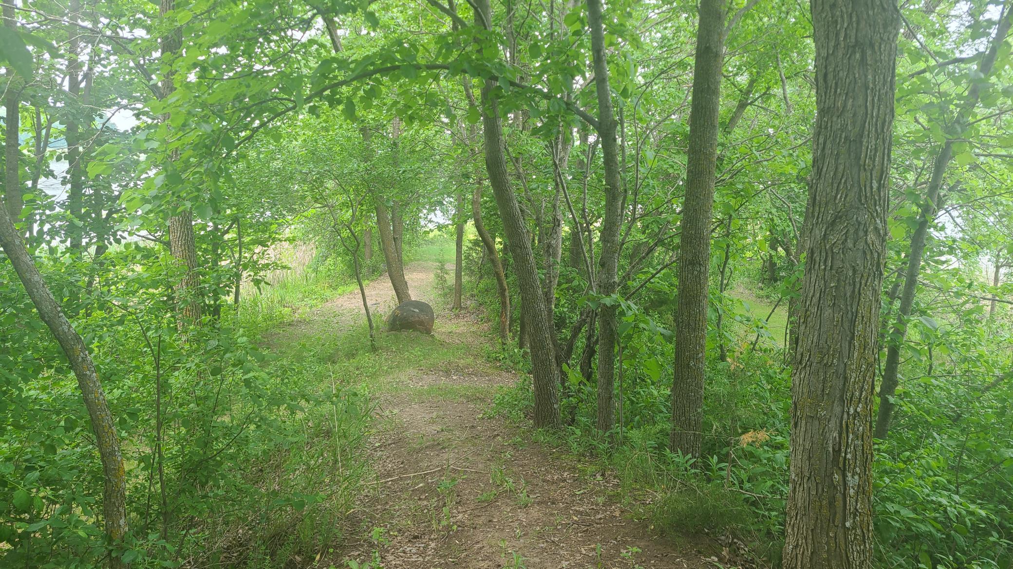 main property photo 20