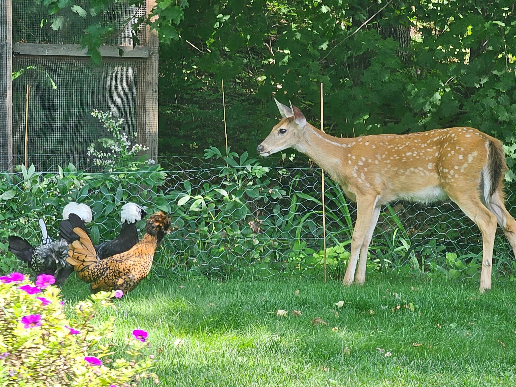 main property photo 76