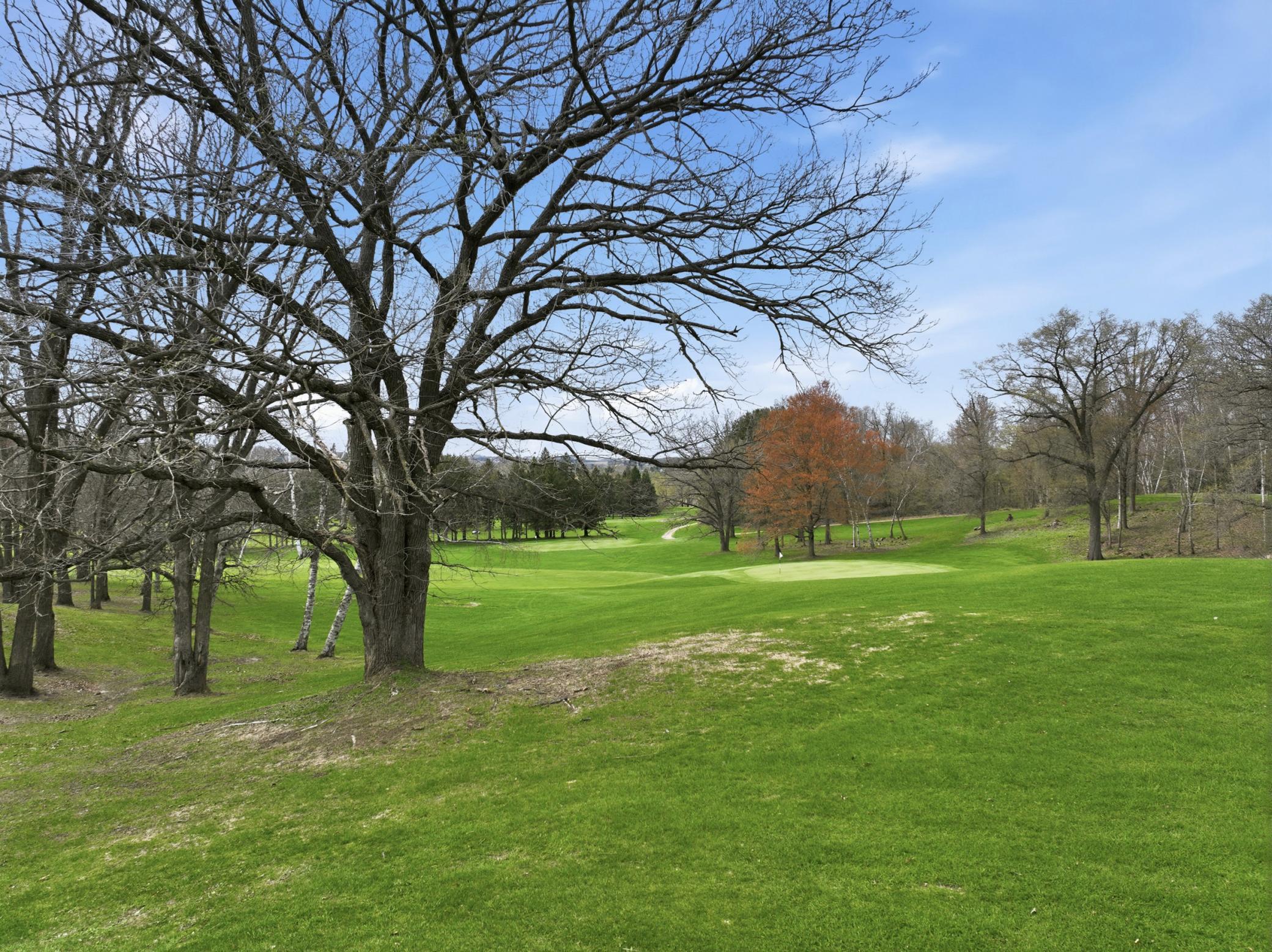 main property photo 68