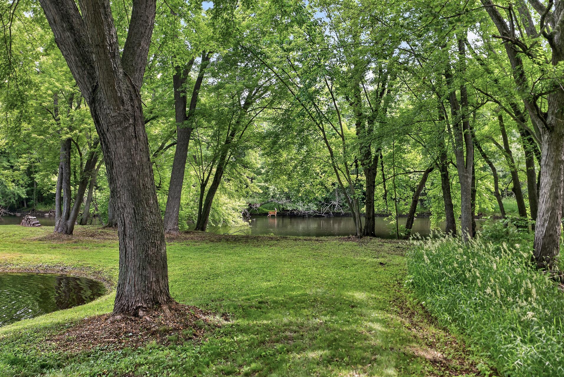main property photo 77