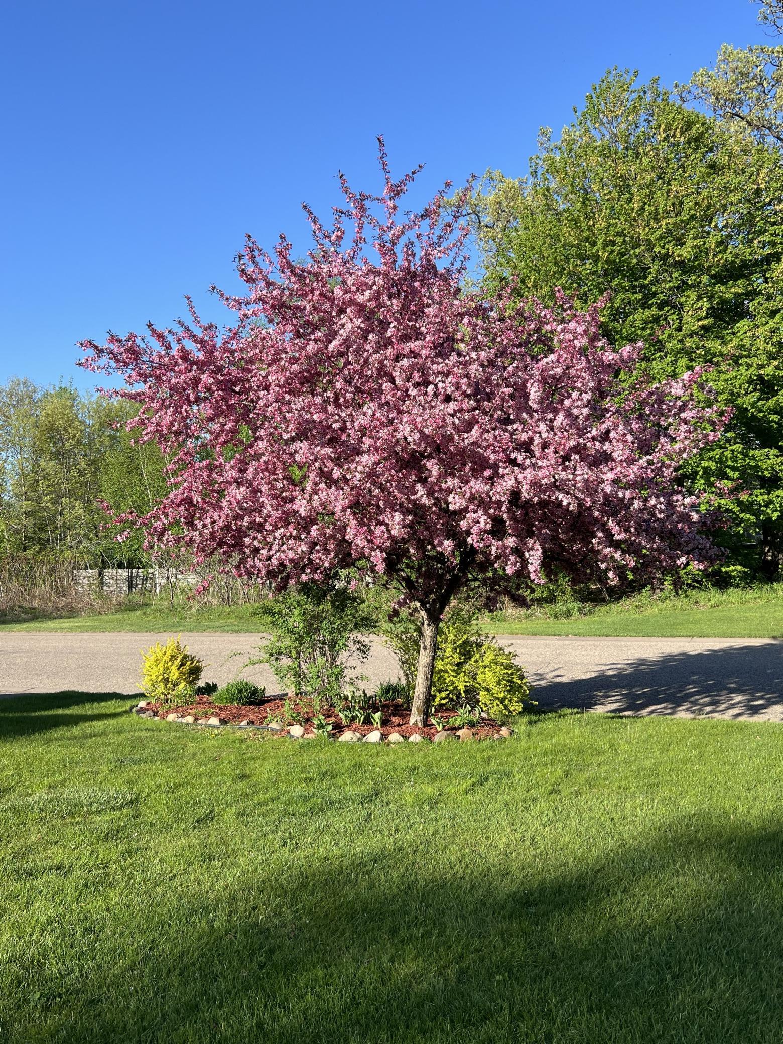 main property photo 52