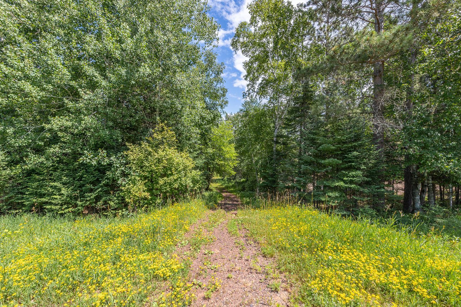 main property photo 66