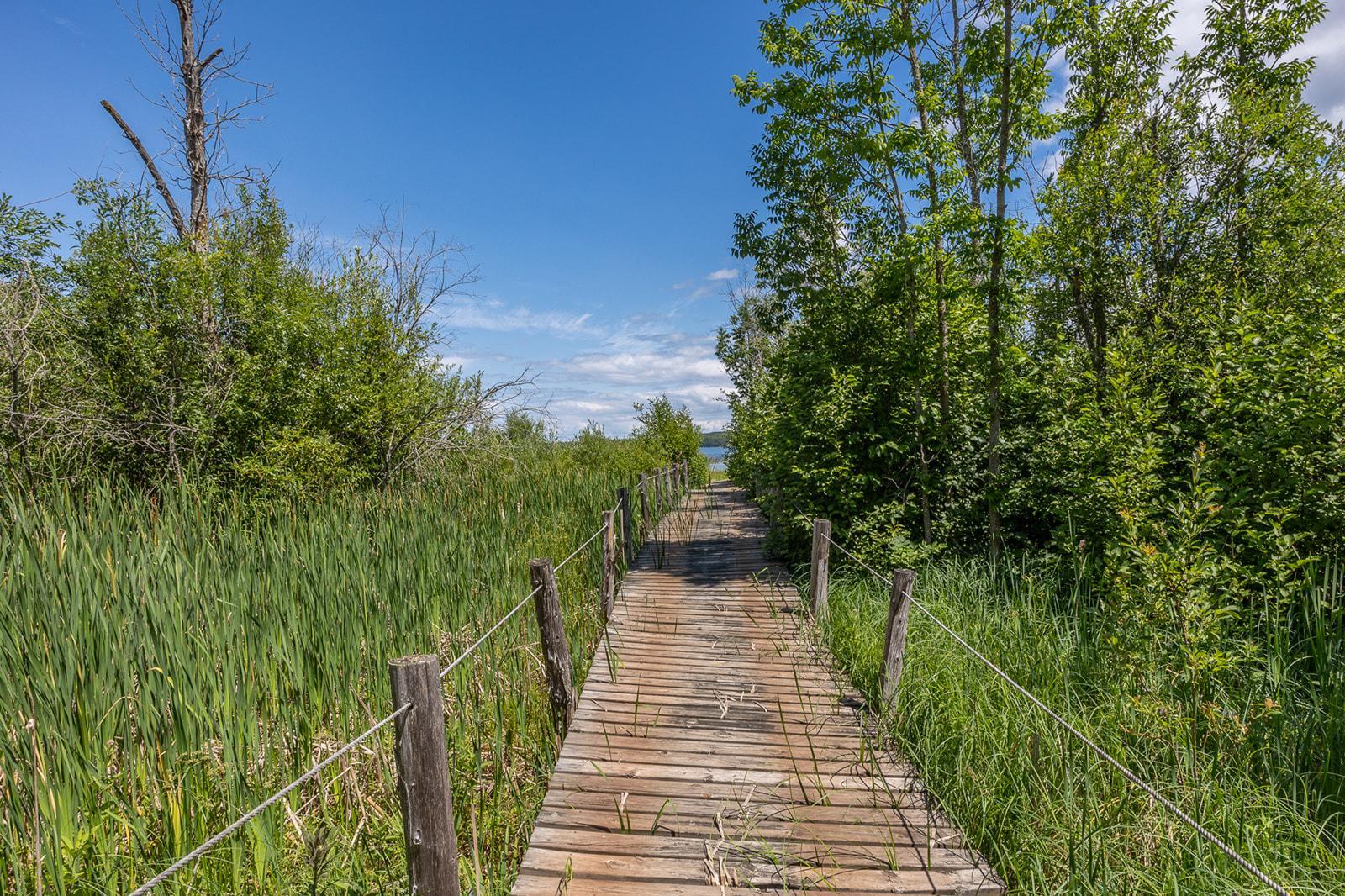 main property photo 68