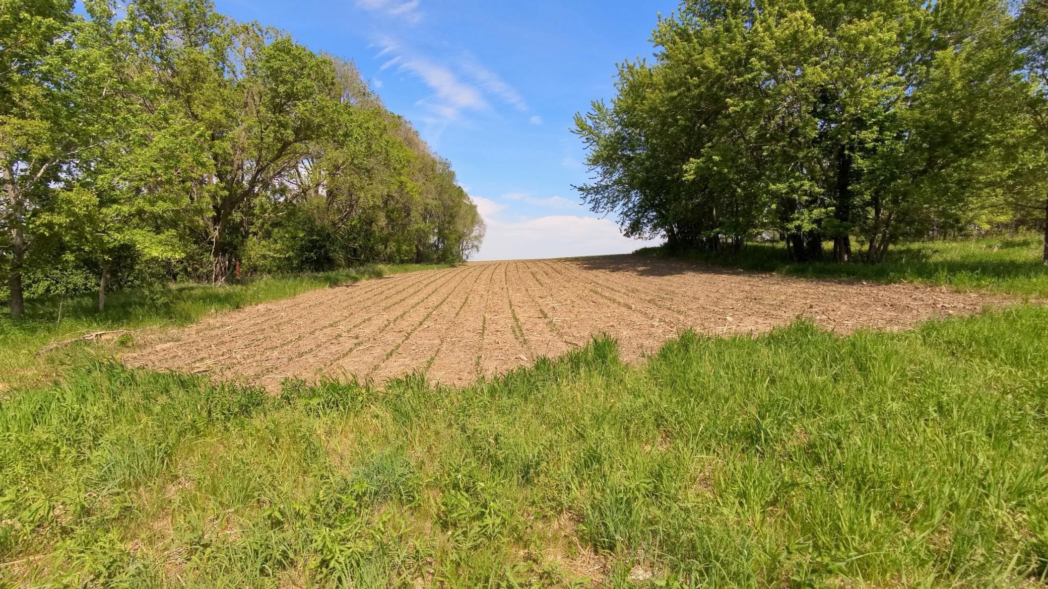 main property photo 50