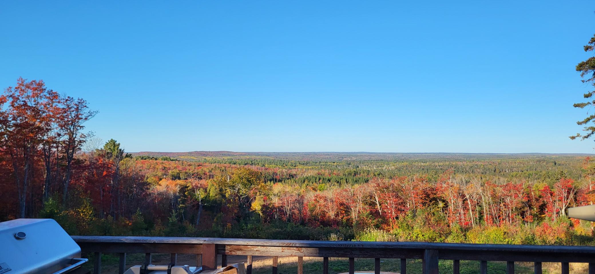main property photo 48