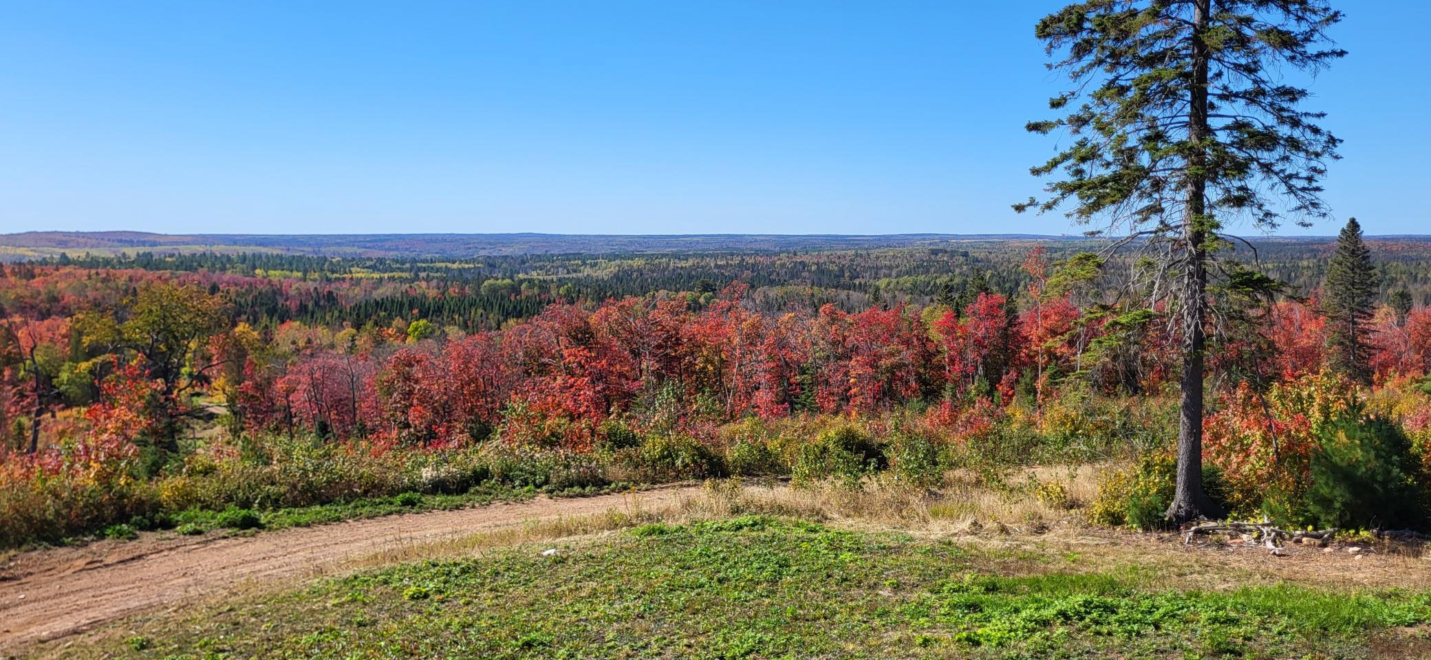 main property photo 50