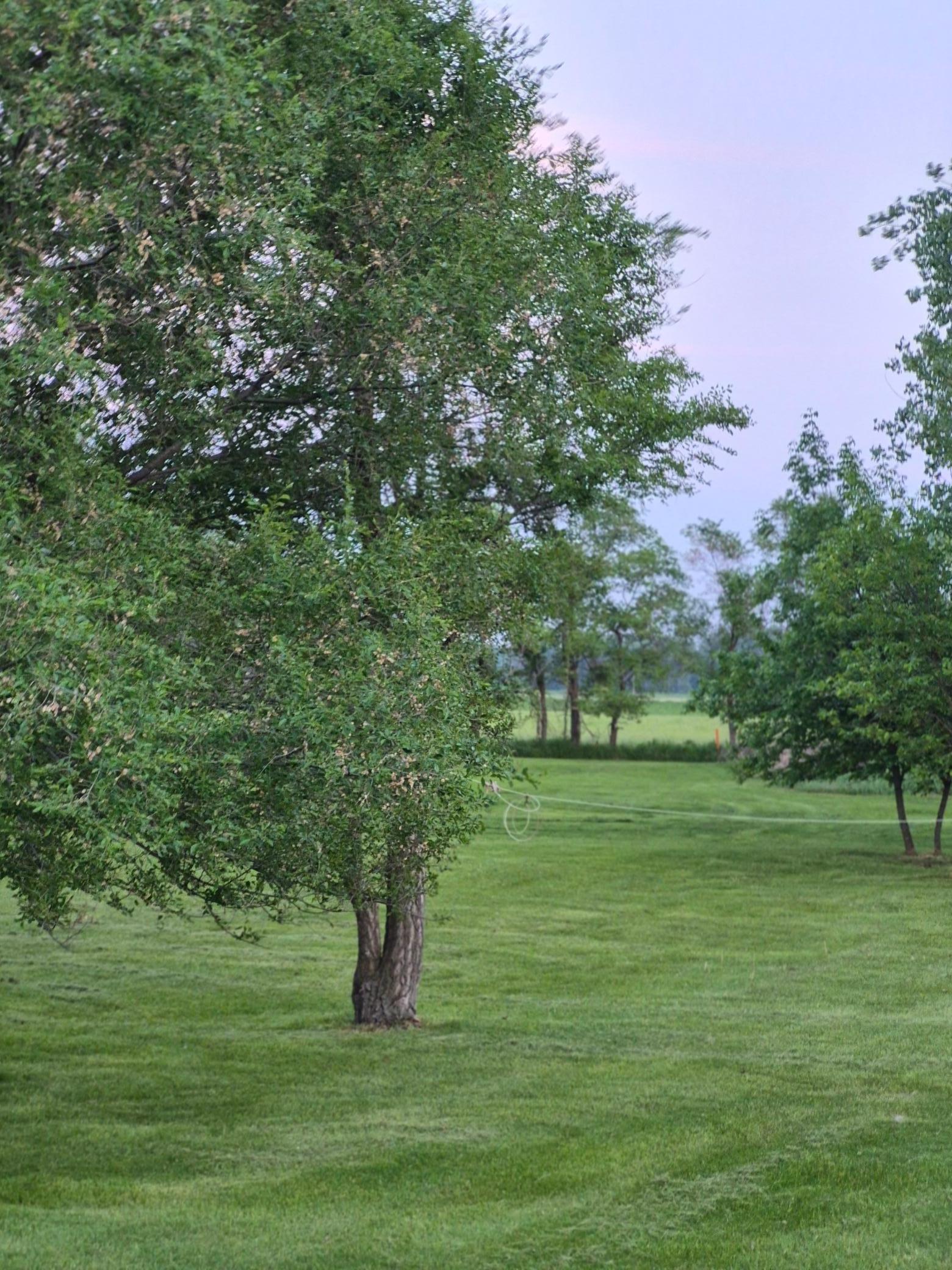 main property photo 28