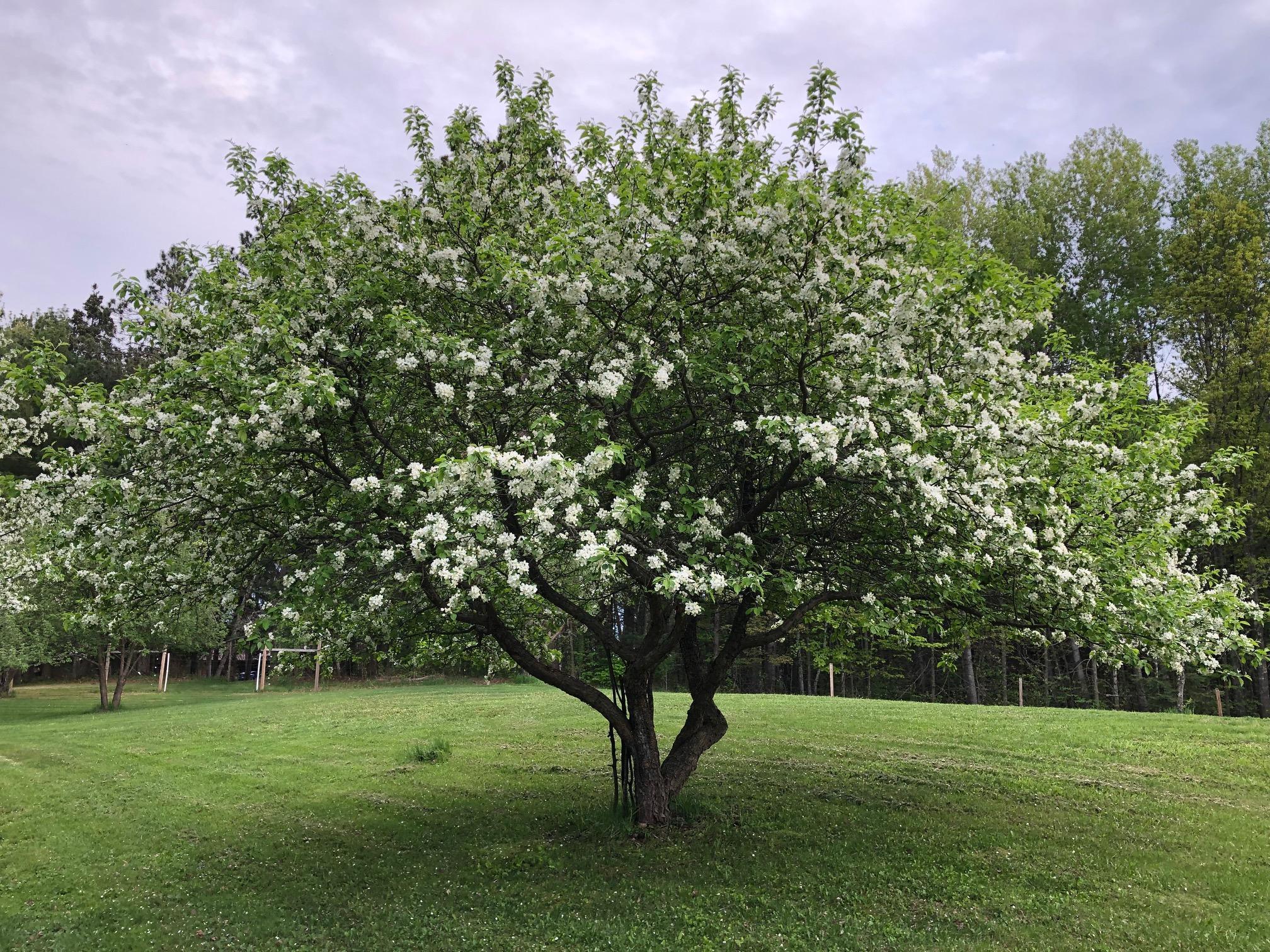 main property photo 24