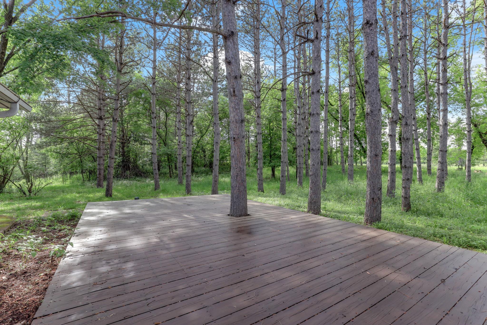 main property photo 56