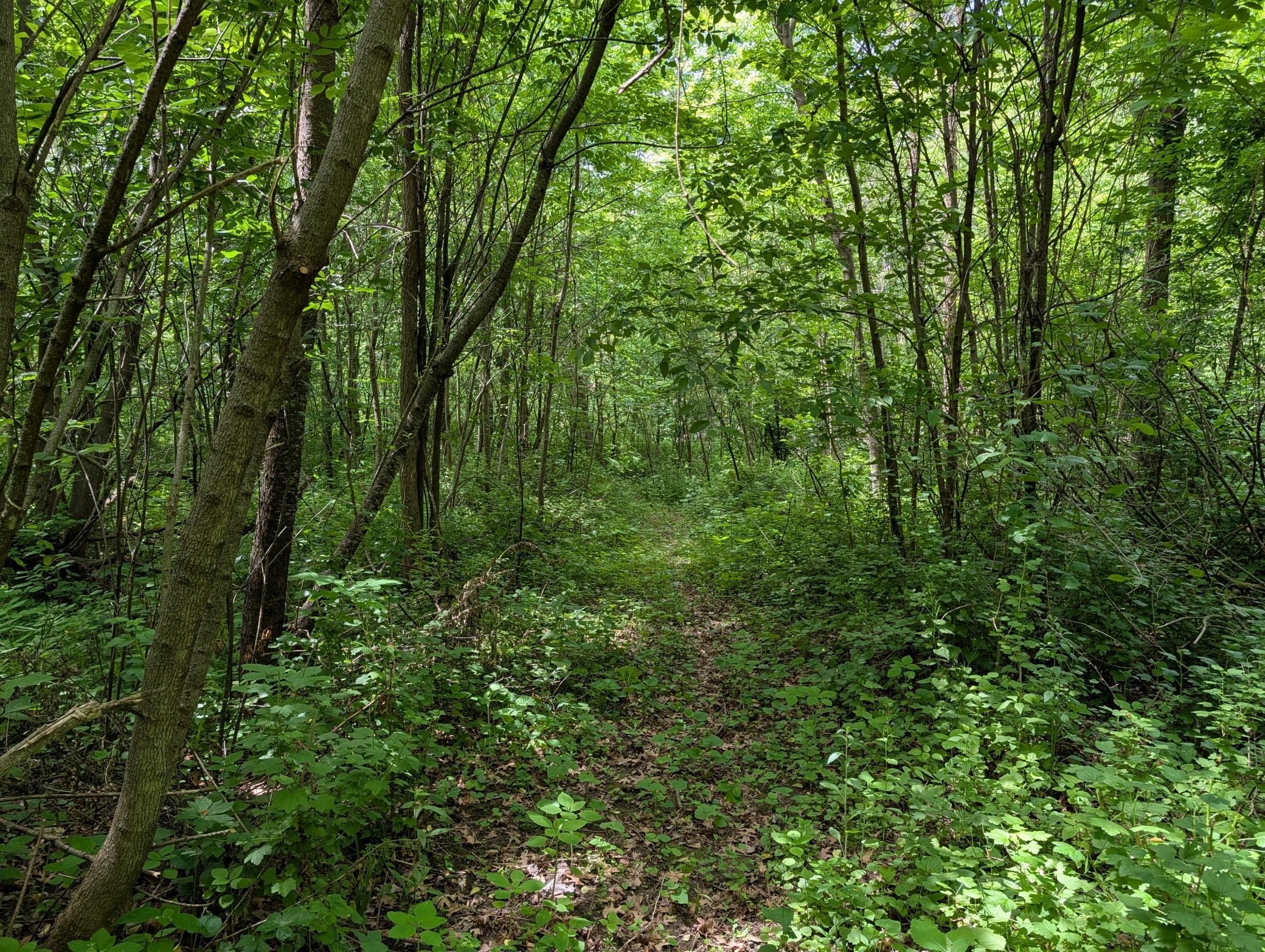 main property photo 12