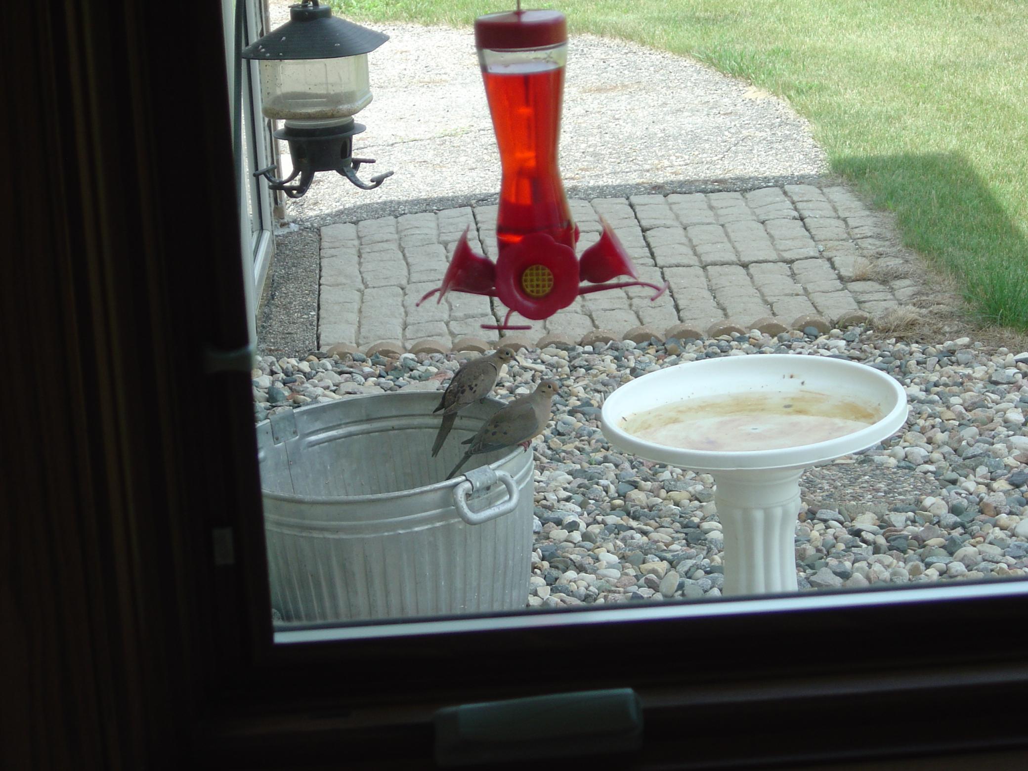 main property photo 50